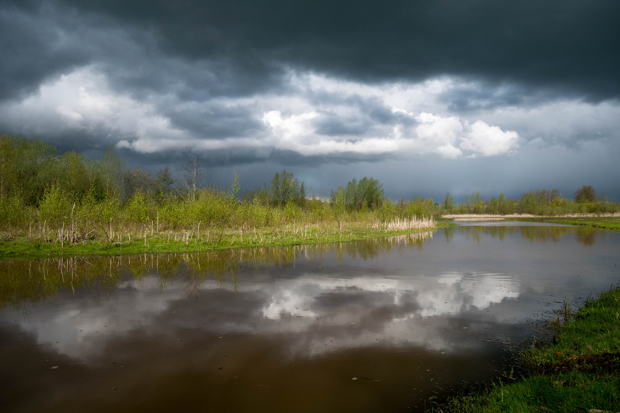 Panasonic Lumix DMC-GM5 sample photo. Clouds photography