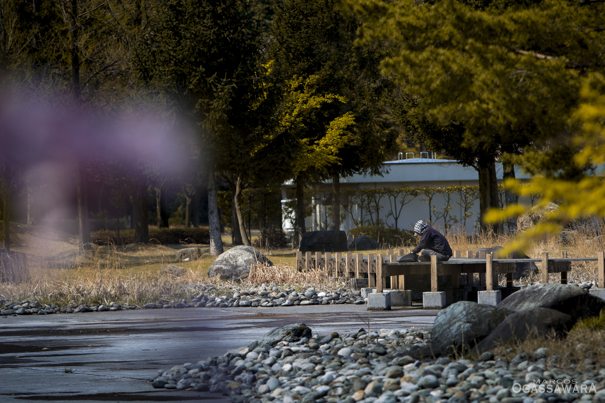 Canon EOS 600D (Rebel EOS T3i / EOS Kiss X5) sample photo. Park photography