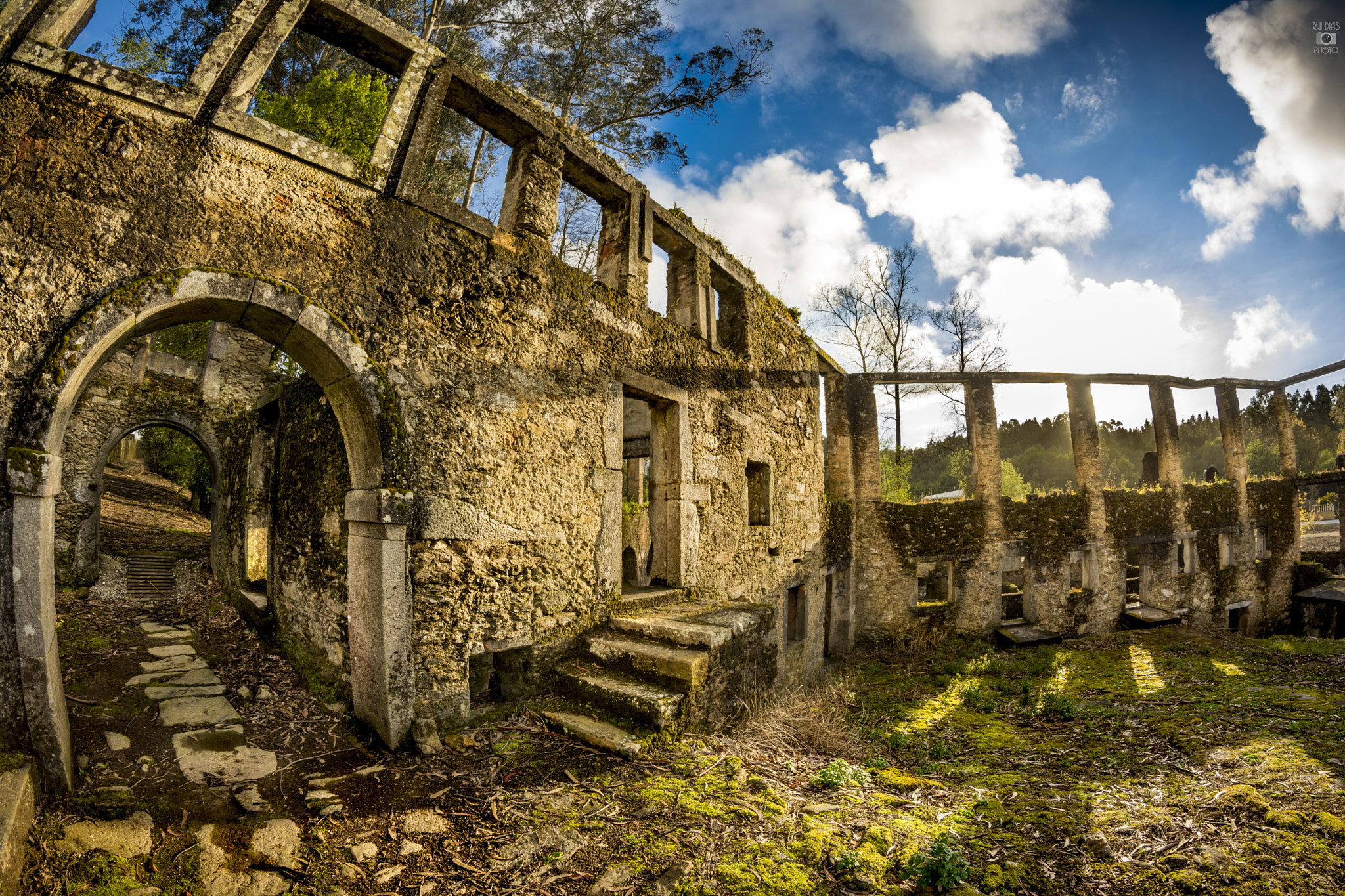 Nikon D7200 + Samyang 8mm F3.5 Aspherical IF MC Fisheye sample photo. Golden ruins photography