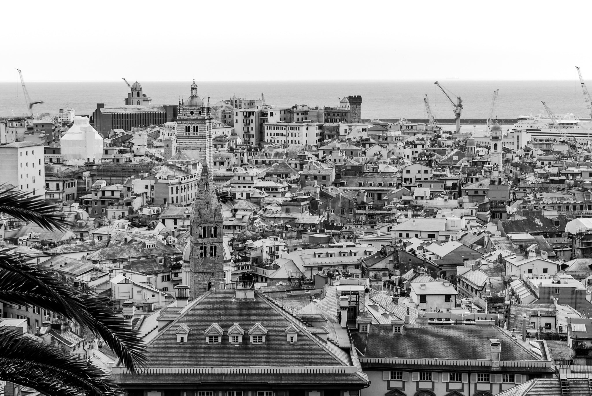 Tamron SP 24-70mm F2.8 Di VC USD sample photo. Roof of genoa from castelletto, liguria, italy photography