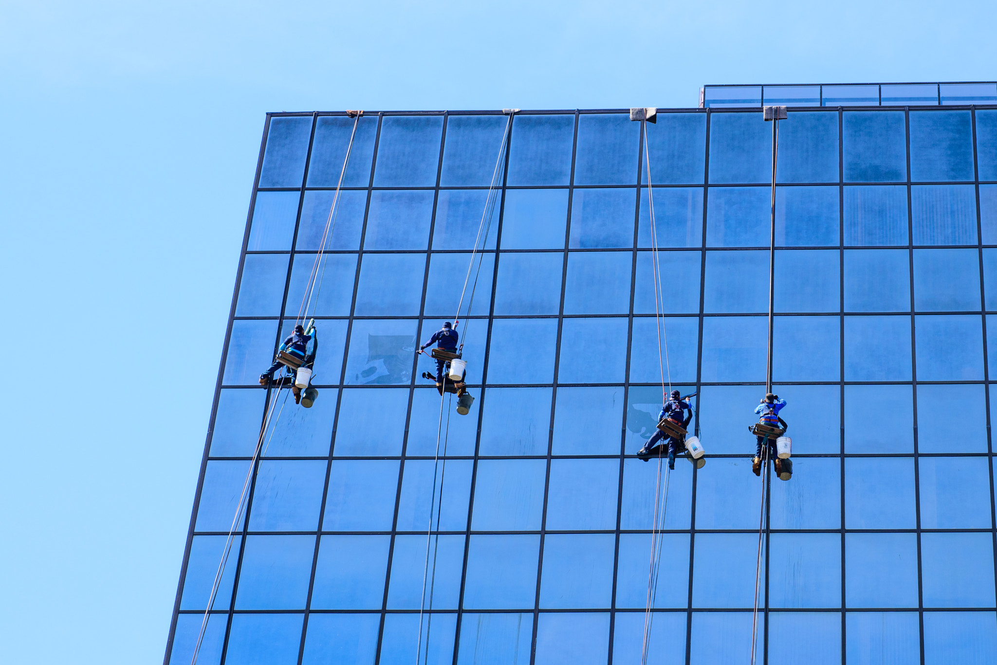 Nikon D750 + AF Micro-Nikkor 60mm f/2.8 sample photo. The real spidermen photography