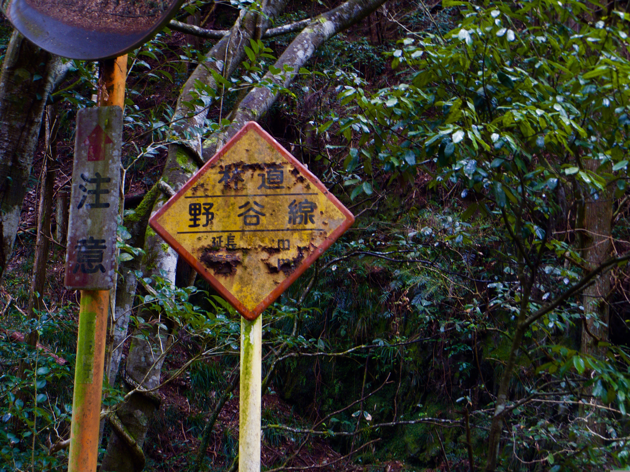 Pentax 02 Standard Zoom sample photo. 25603240633.jpg photography