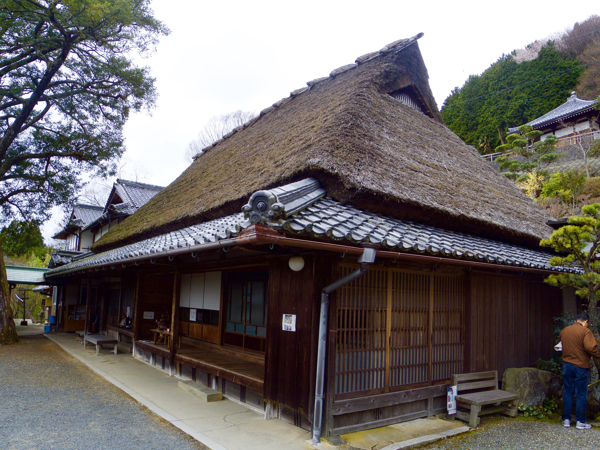 Pentax 02 Standard Zoom sample photo. 25603224173.jpg photography