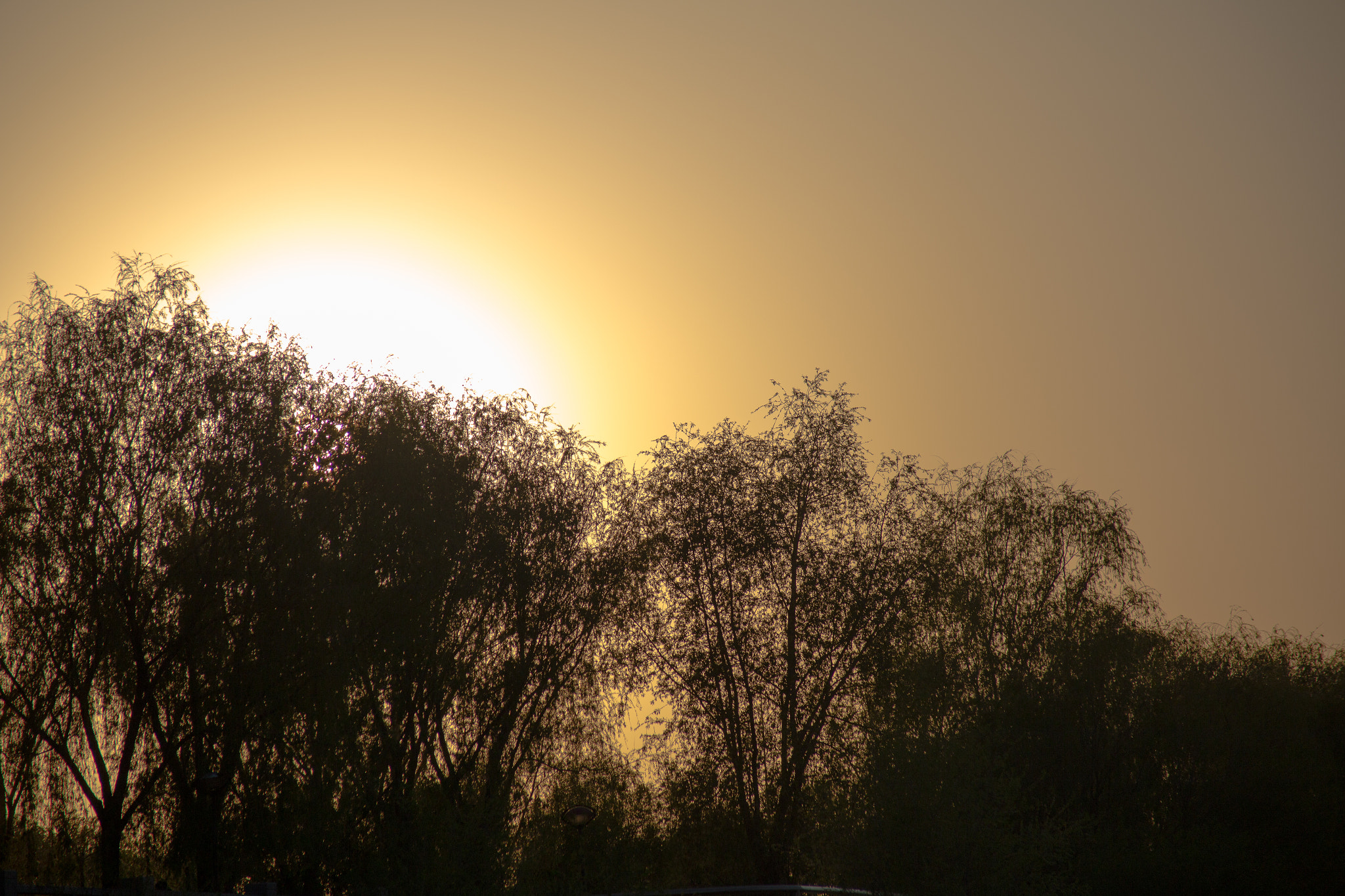 Canon EF 70-210mm f/3.5-4.5 USM sample photo