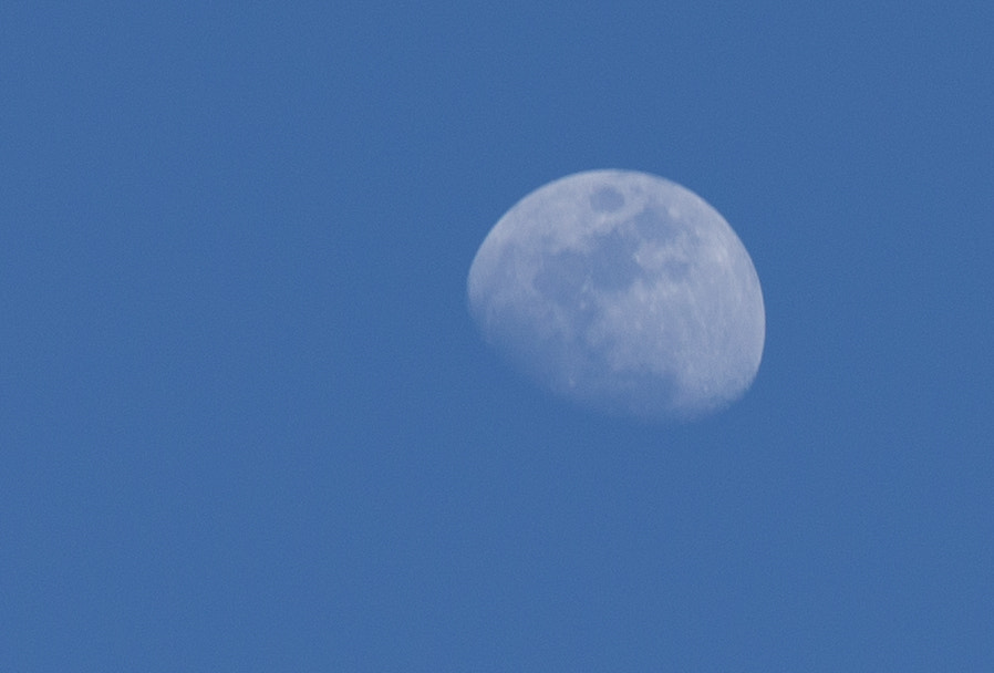 Canon EF 70-210mm f/3.5-4.5 USM sample photo