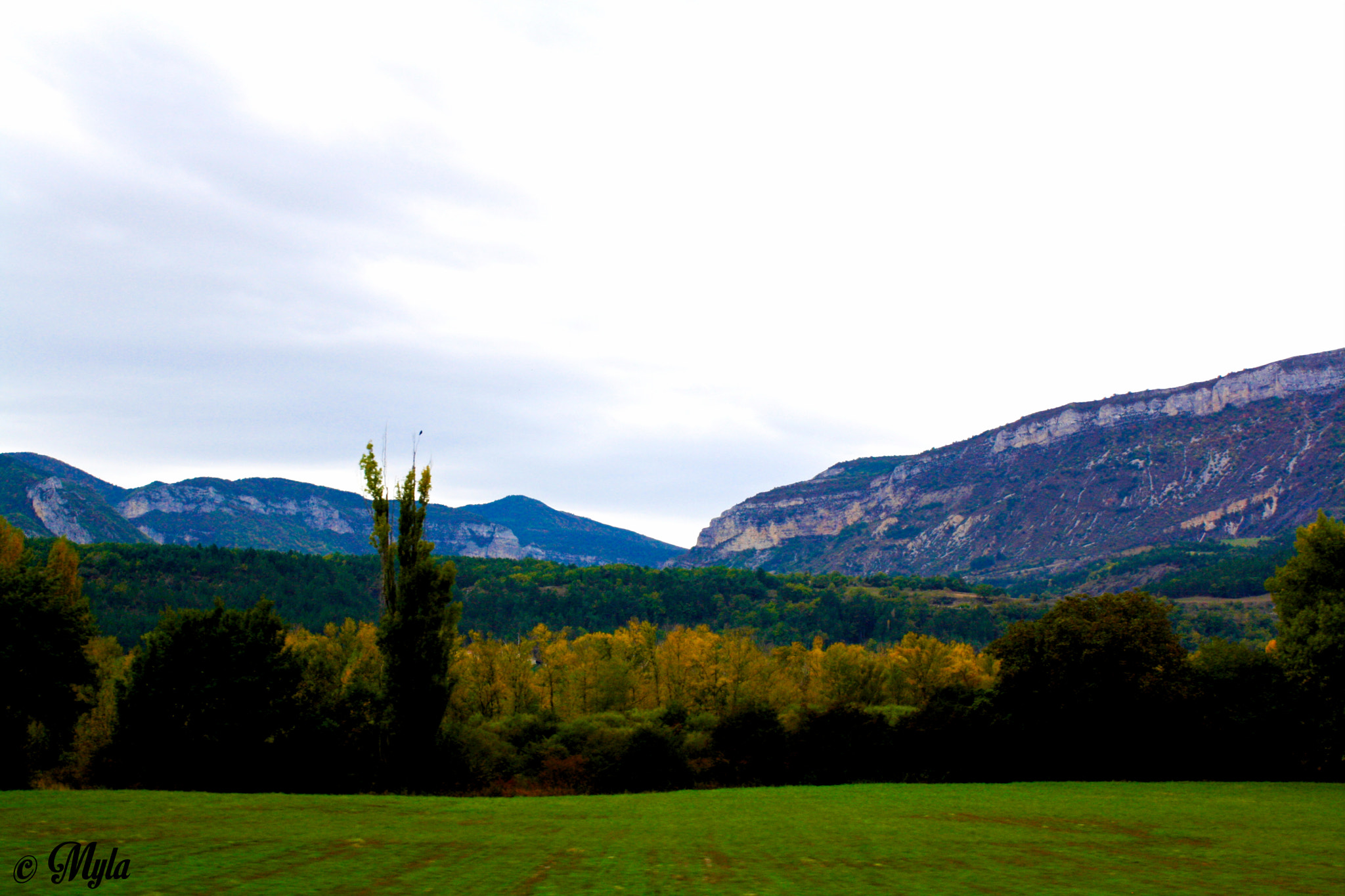 Canon EOS 1000D (EOS Digital Rebel XS / EOS Kiss F) sample photo. Nature ... photography