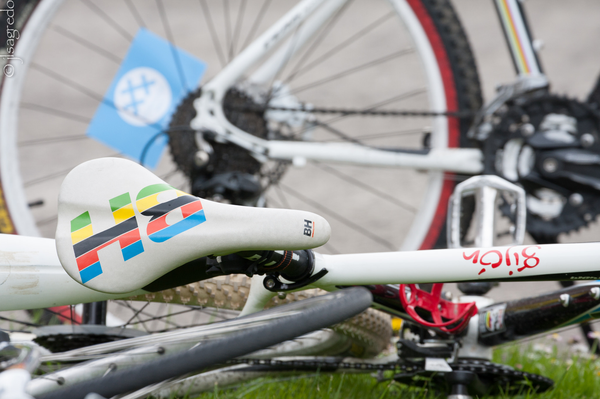 Canon EF 70-300mm F4-5.6L IS USM sample photo. 90º photography