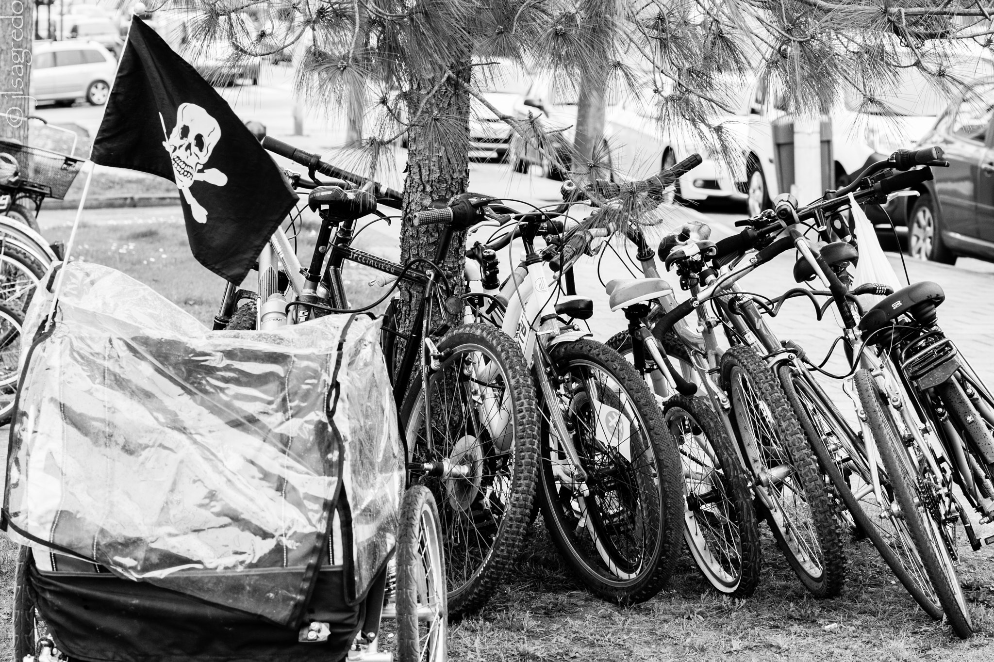 Canon EF 70-300mm F4-5.6L IS USM sample photo. Los piratas del asfalto photography