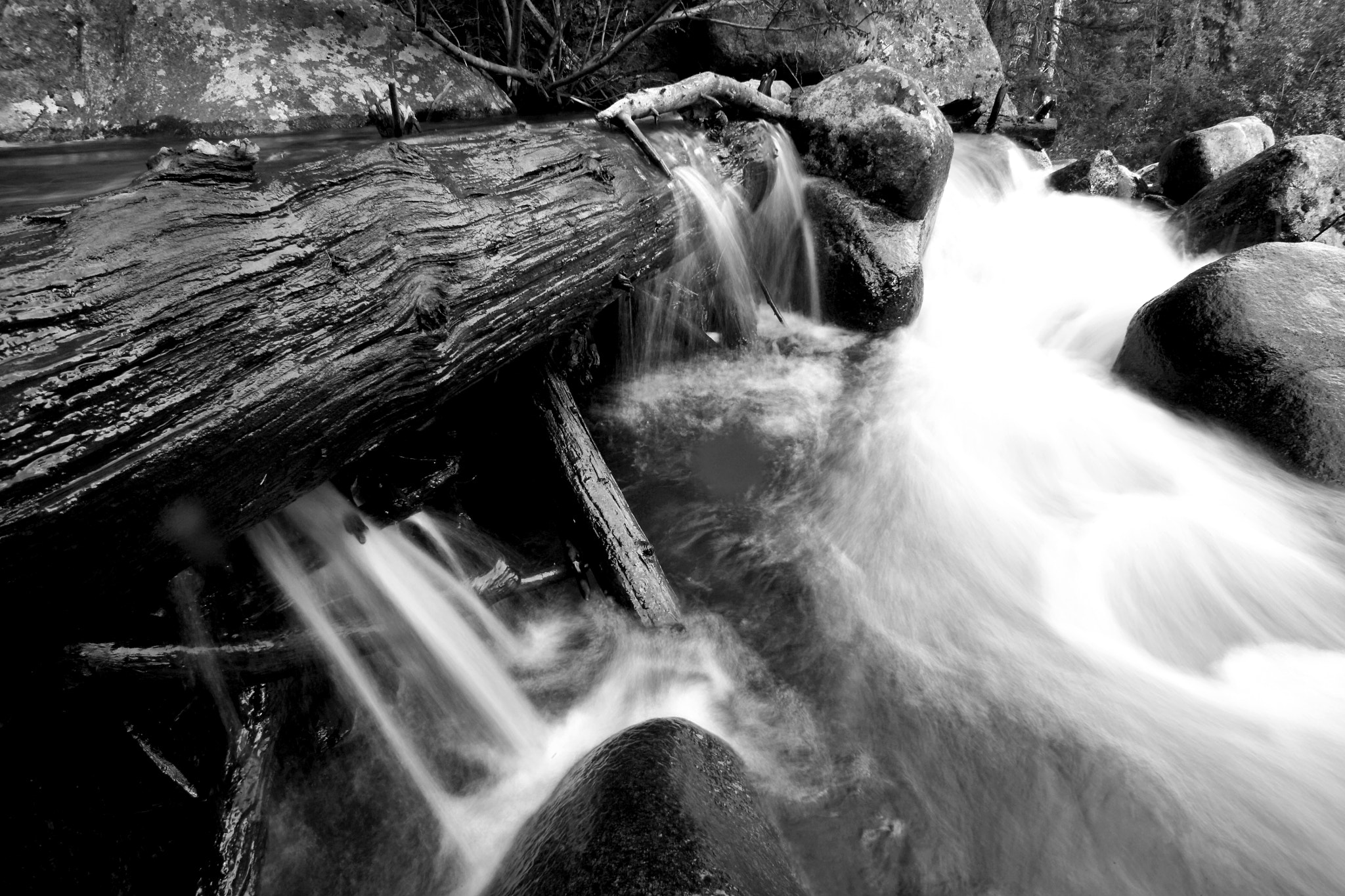 Kodak DCS Pro SLR/n sample photo. Logjambw photography
