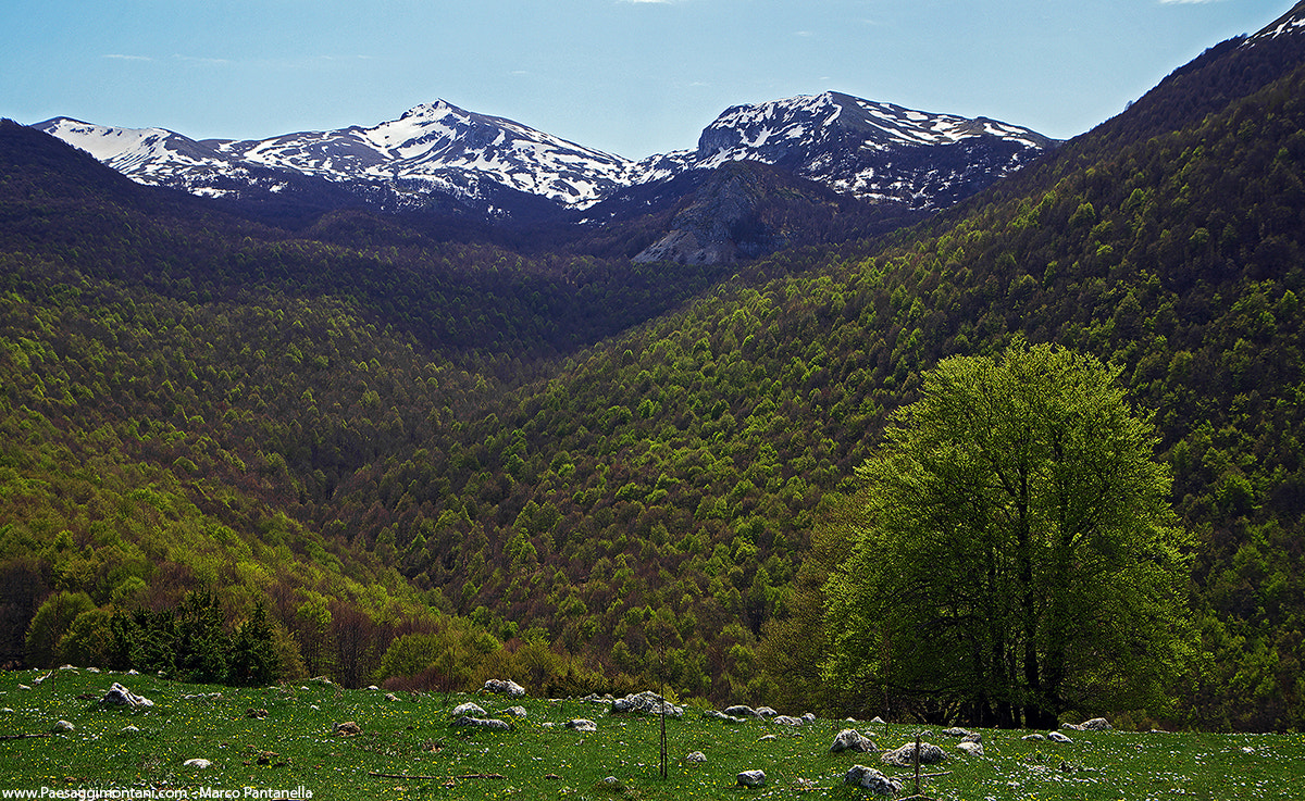 Pentax K-S1 + Pentax smc DA 16-45mm F4 ED AL sample photo. Spring in abruzzo photography