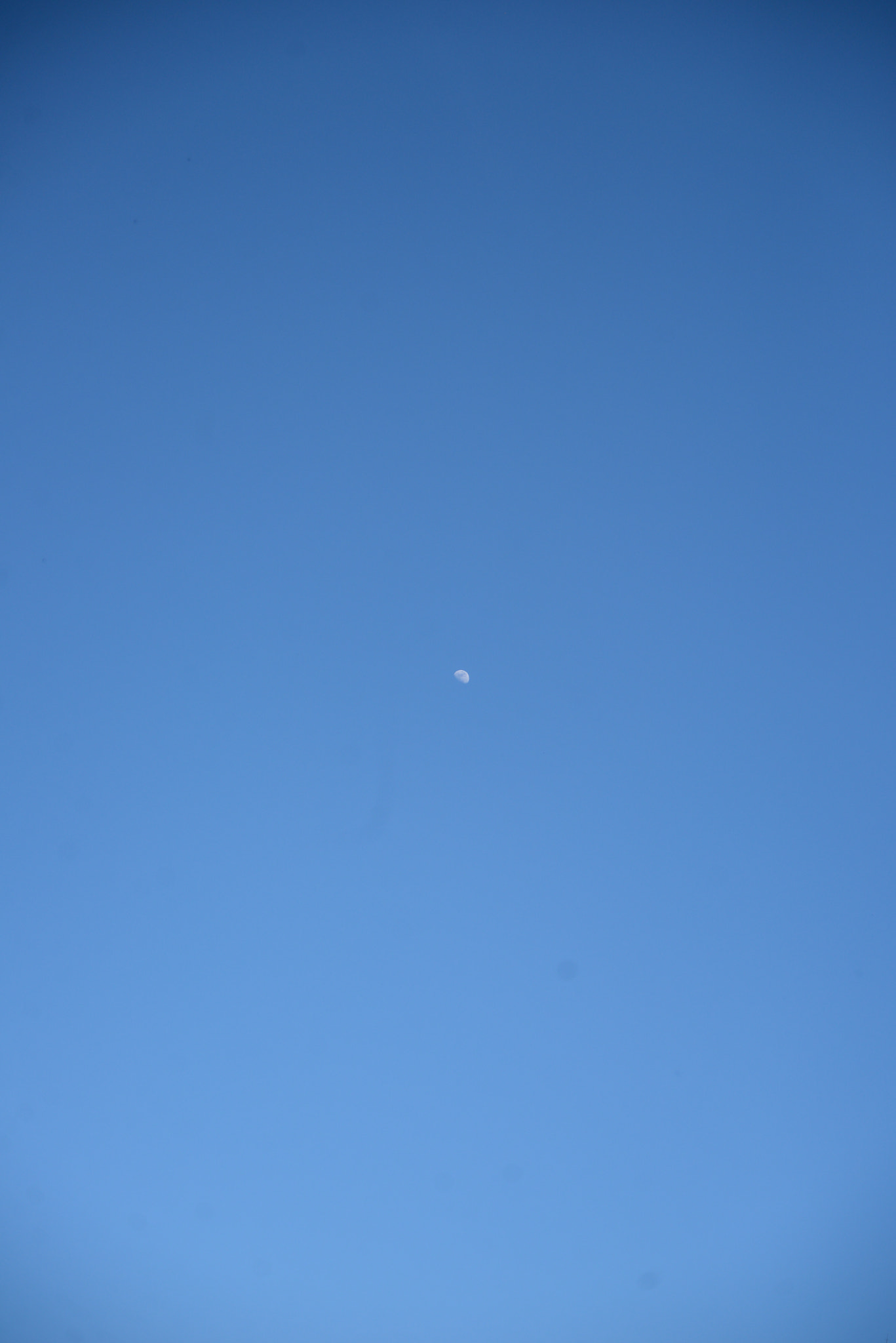 AF Zoom-Nikkor 24-50mm f/3.3-4.5 sample photo. Moon day photography