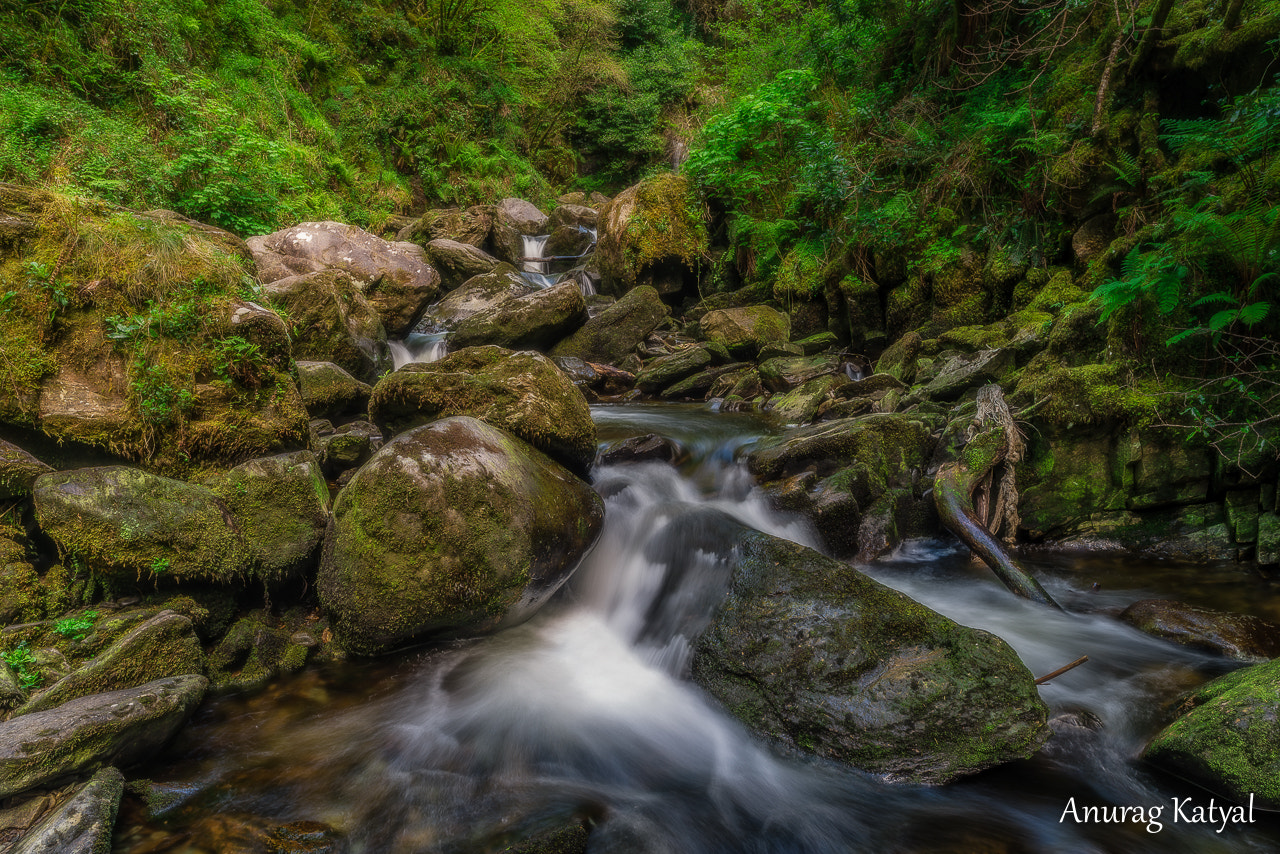 Nikon D800 + ZEISS Distagon T* 21mm F2.8 sample photo. Killarney national park photography