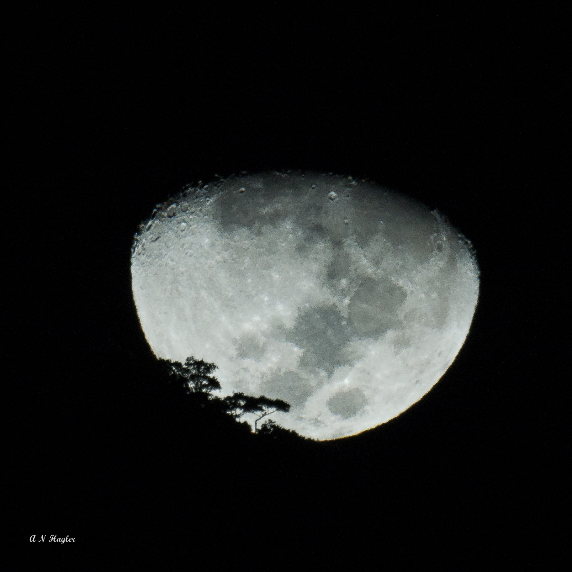 Sony SLT-A77 + Sony 500mm F8 Reflex sample photo. Moonset são conrado apr 17 photography