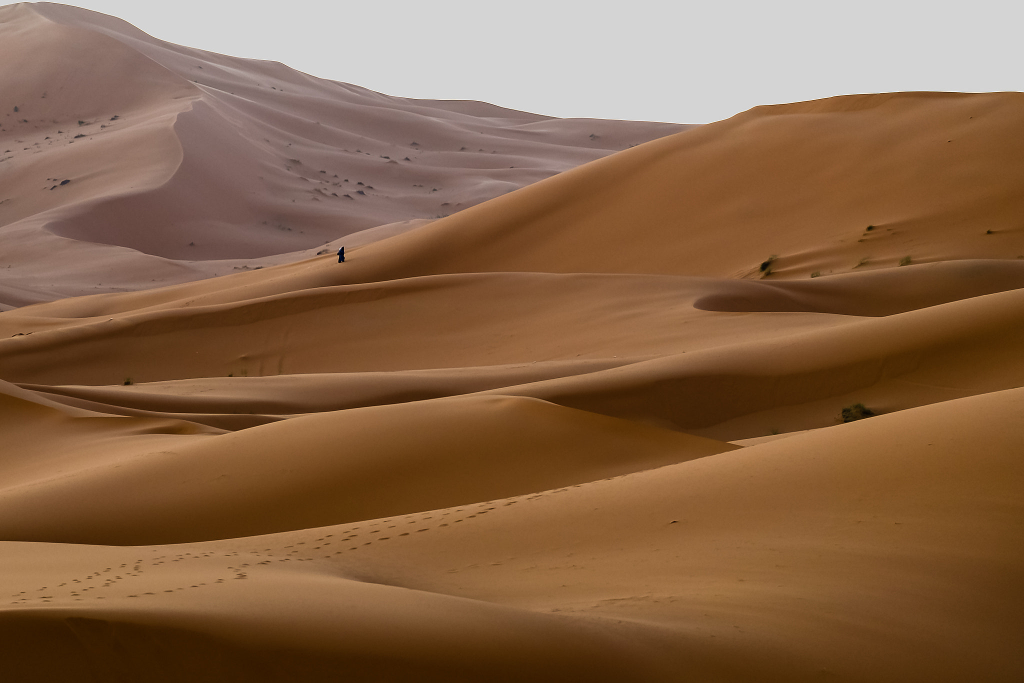Fujifilm X-M1 + Fujifilm XC 50-230mm F4.5-6.7 OIS sample photo. Sahara desert, erg chebbi photography