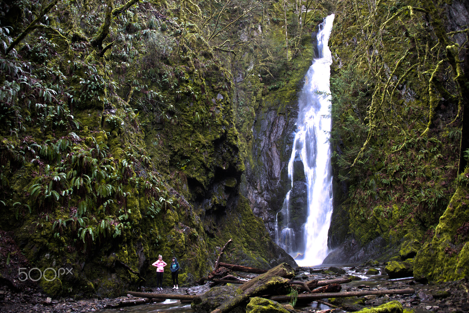 AF Zoom-Nikkor 35-70mm f/3.3-4.5 N sample photo. Goldstream falls photography