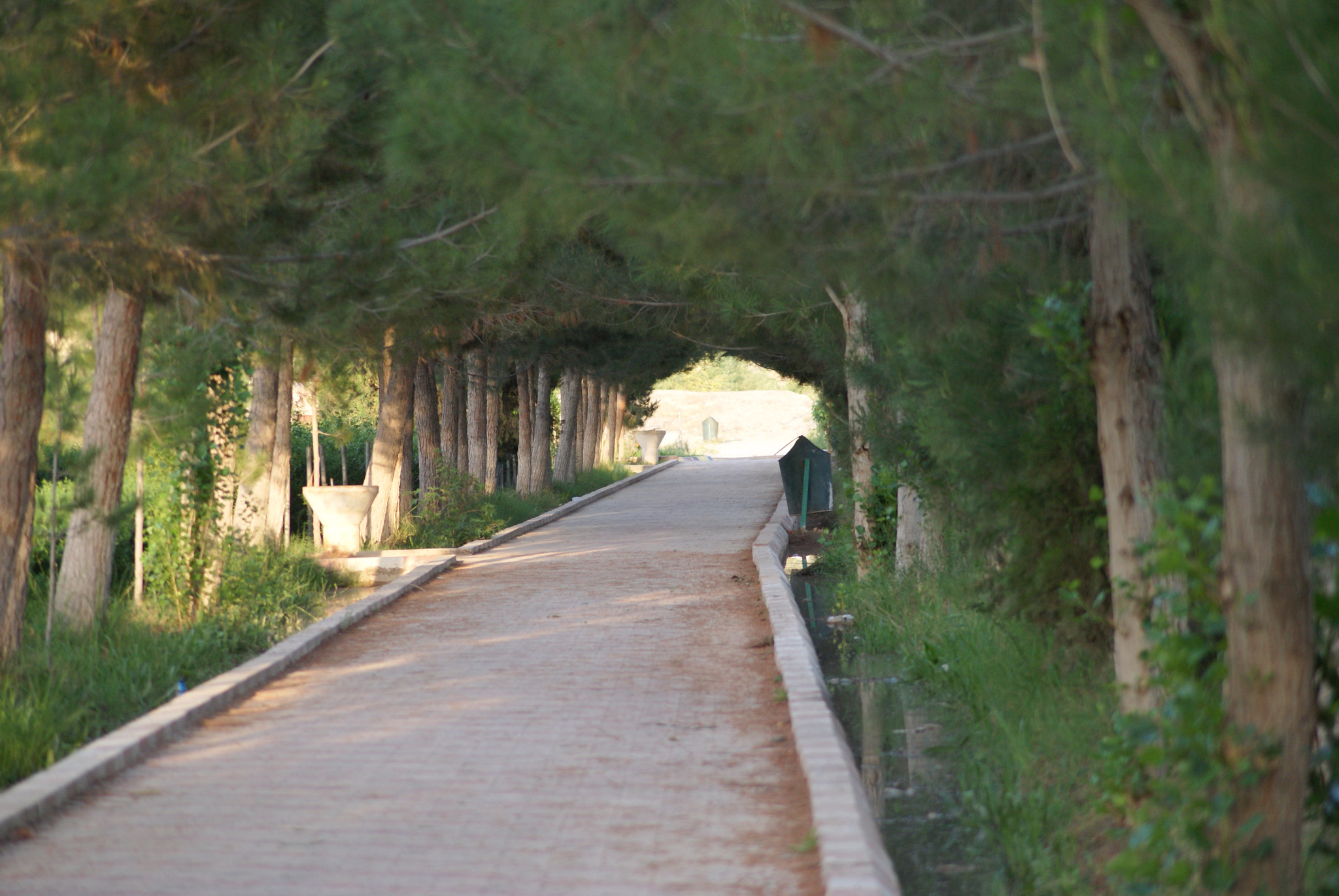 Sony DT 55-200mm F4-5.6 SAM sample photo. Millet baba park, helmand, afghanistan photography