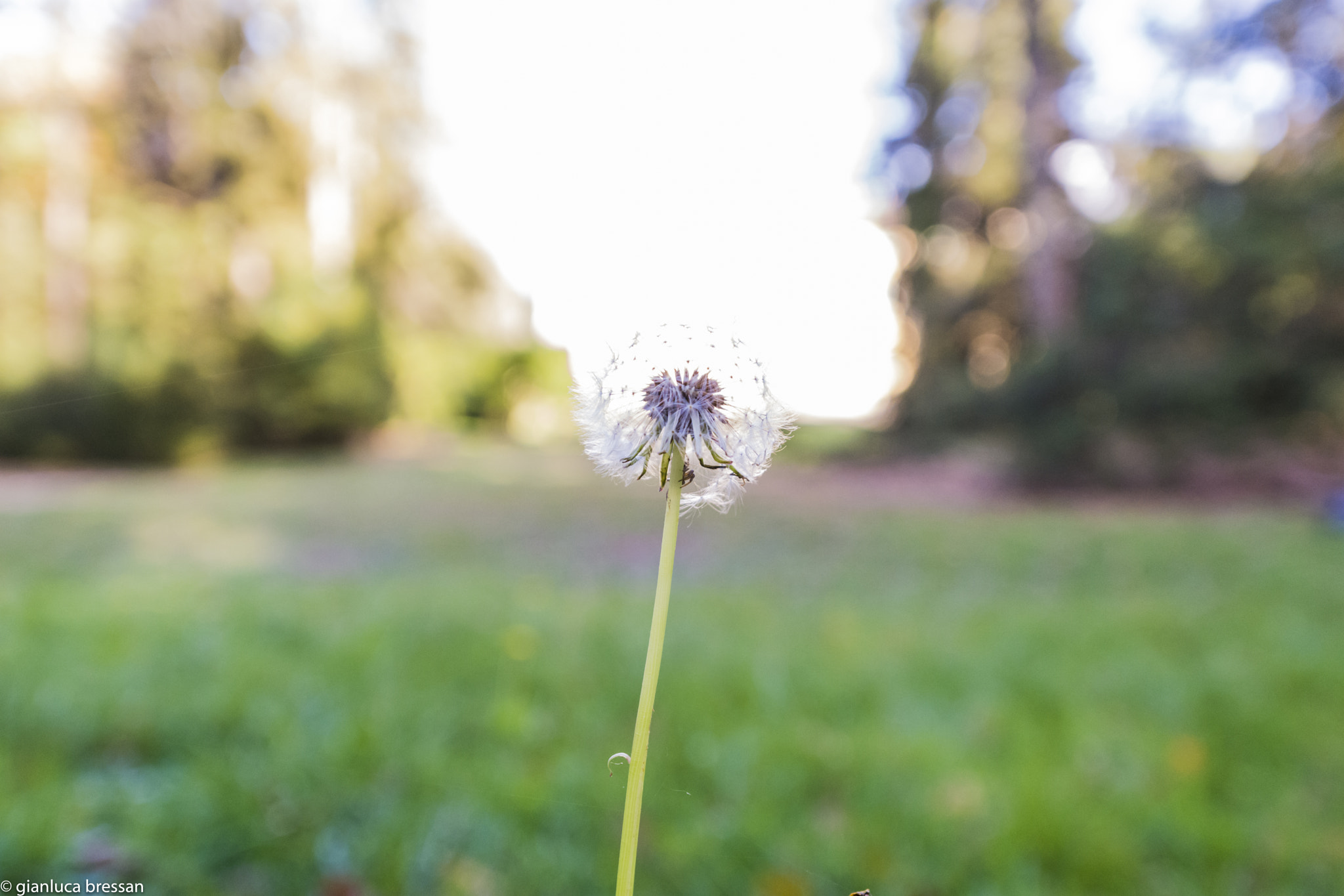 Nikon AF-S Nikkor 14-24mm F2.8G ED sample photo. Bokehworld photography