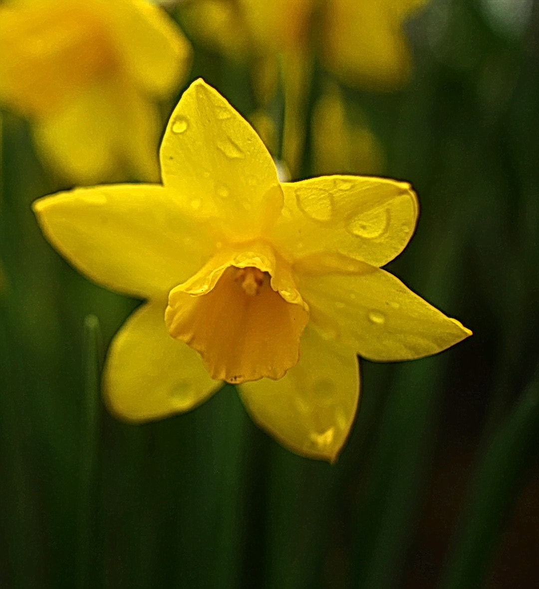 Canon EF-S 24mm F2.8 STM sample photo. Fl19004 photography
