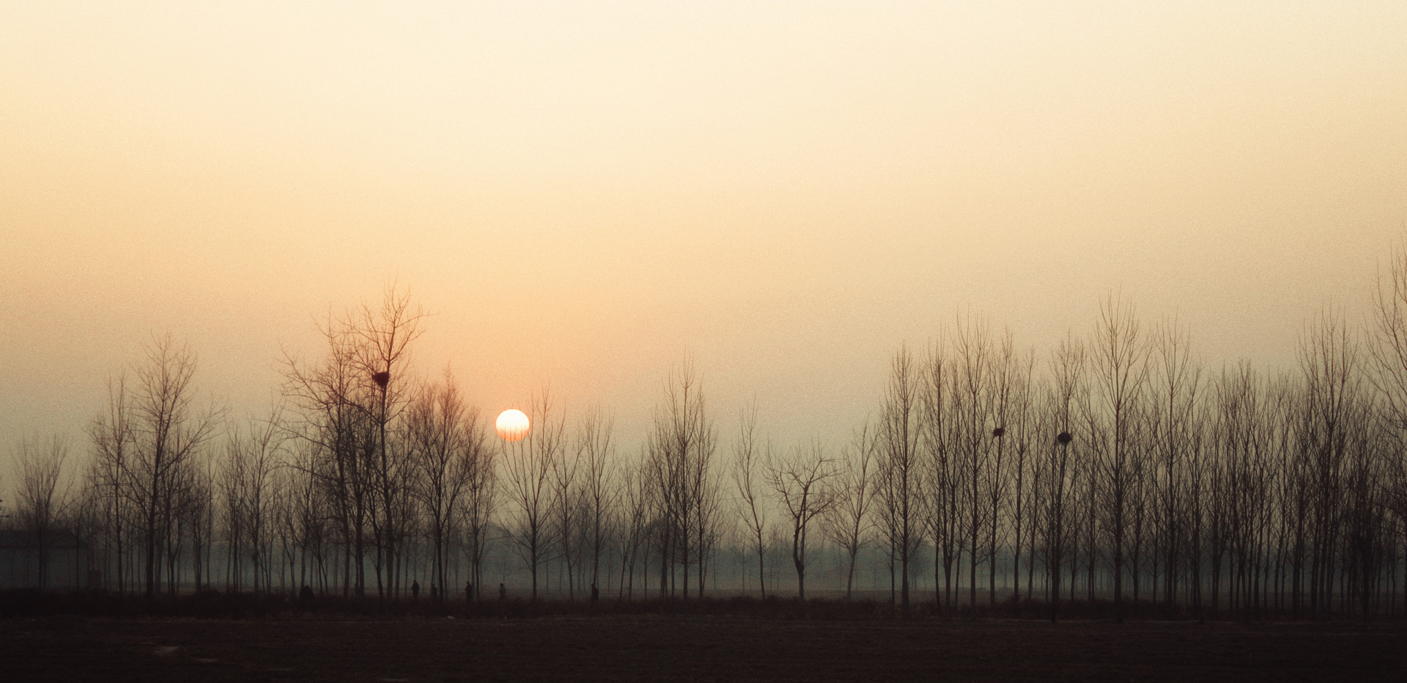 Canon EF-S 18-55mm F3.5-5.6 IS sample photo. 夕阳 photography