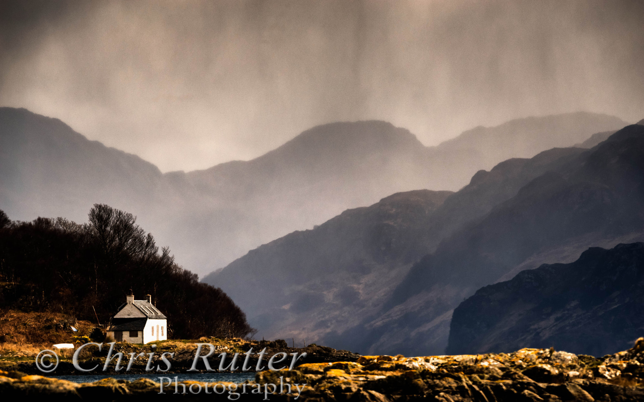 Sigma 500mm F4.5 EX DG HSM sample photo. Shelter in the storm photography