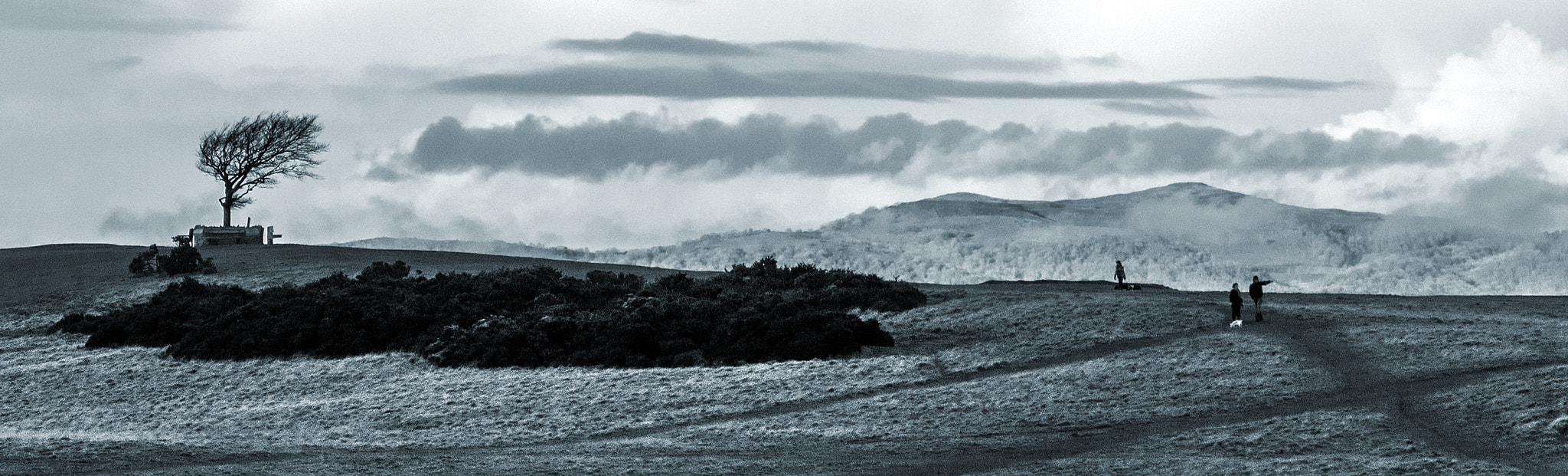 Minolta AF 200mm F2.8 G APO sample photo. Top of the world, cotswolds, gloucestershire photography