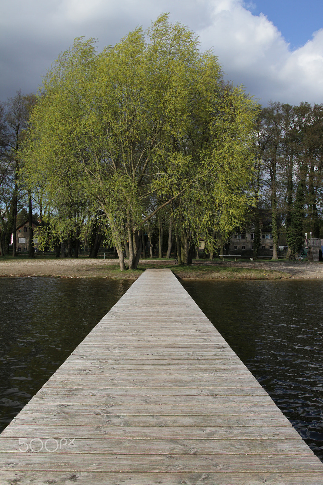 Canon 18-35mm sample photo. Follow the path to spring photography