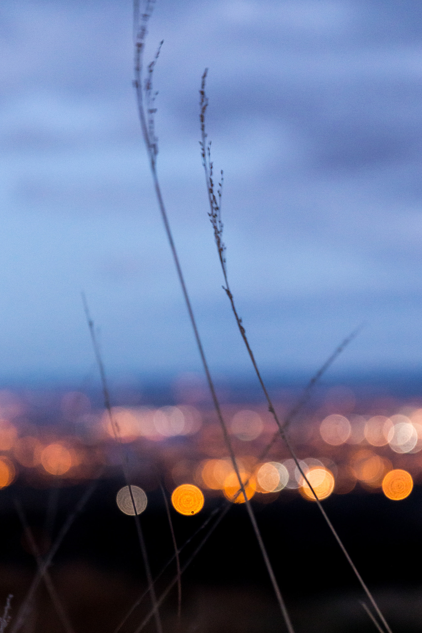 Canon EOS 70D + Canon EF 500mm F4L IS USM sample photo. Saturday night high above the city photography