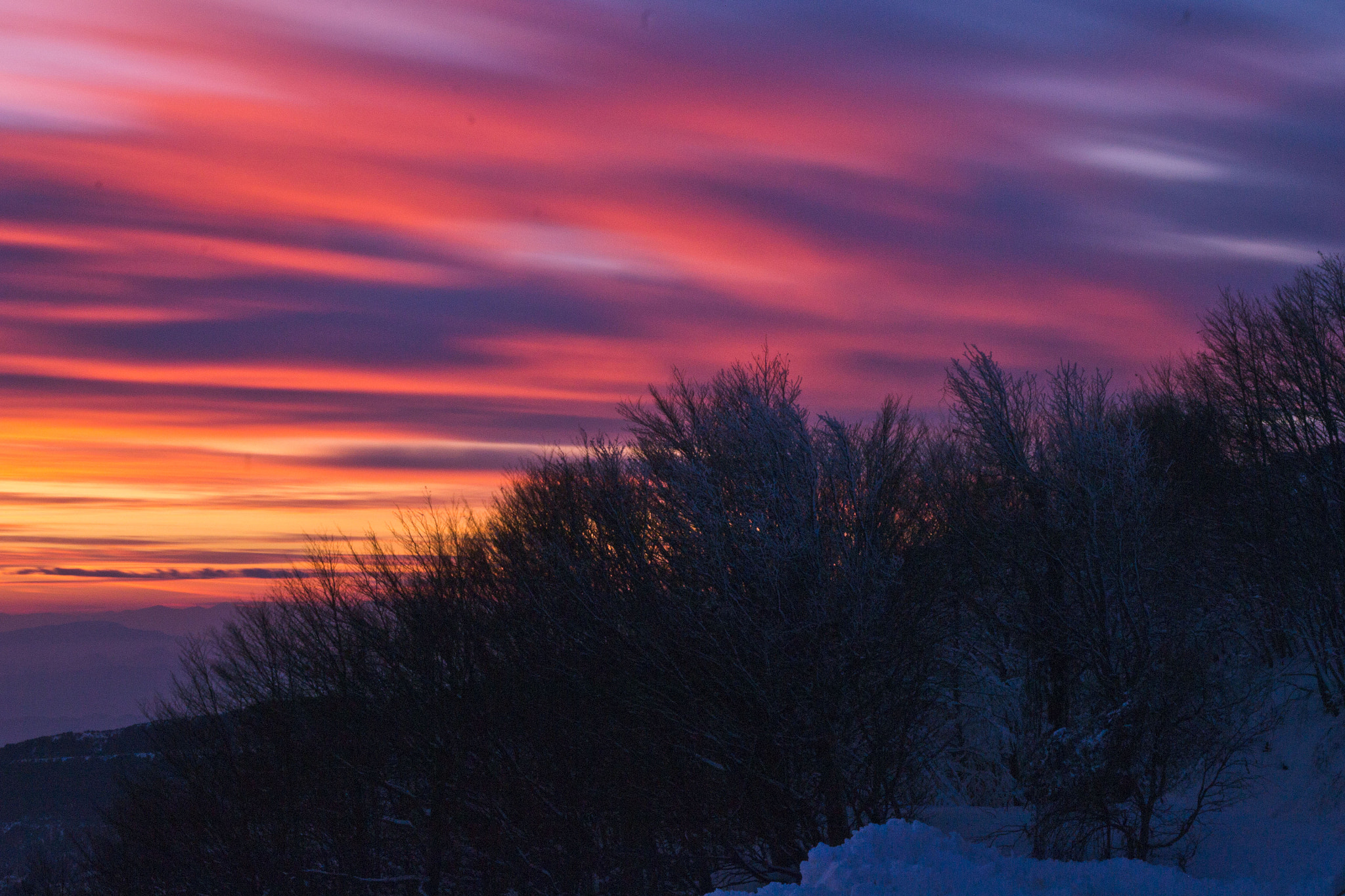 Painted evening clouds..