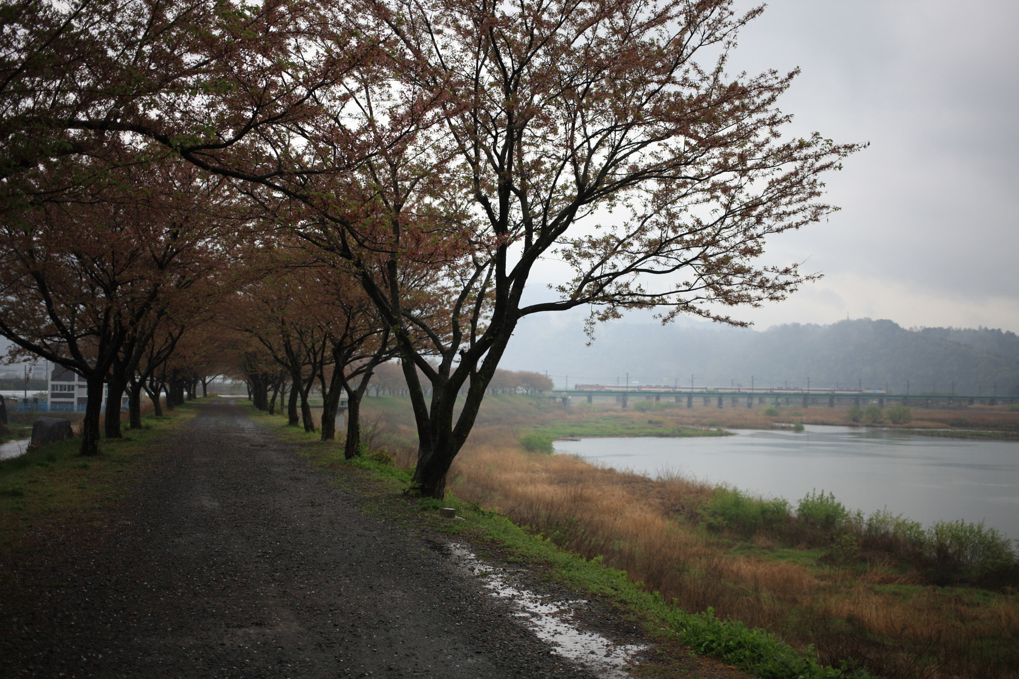 Canon EOS-1Ds Mark III sample photo. Welcome home photography