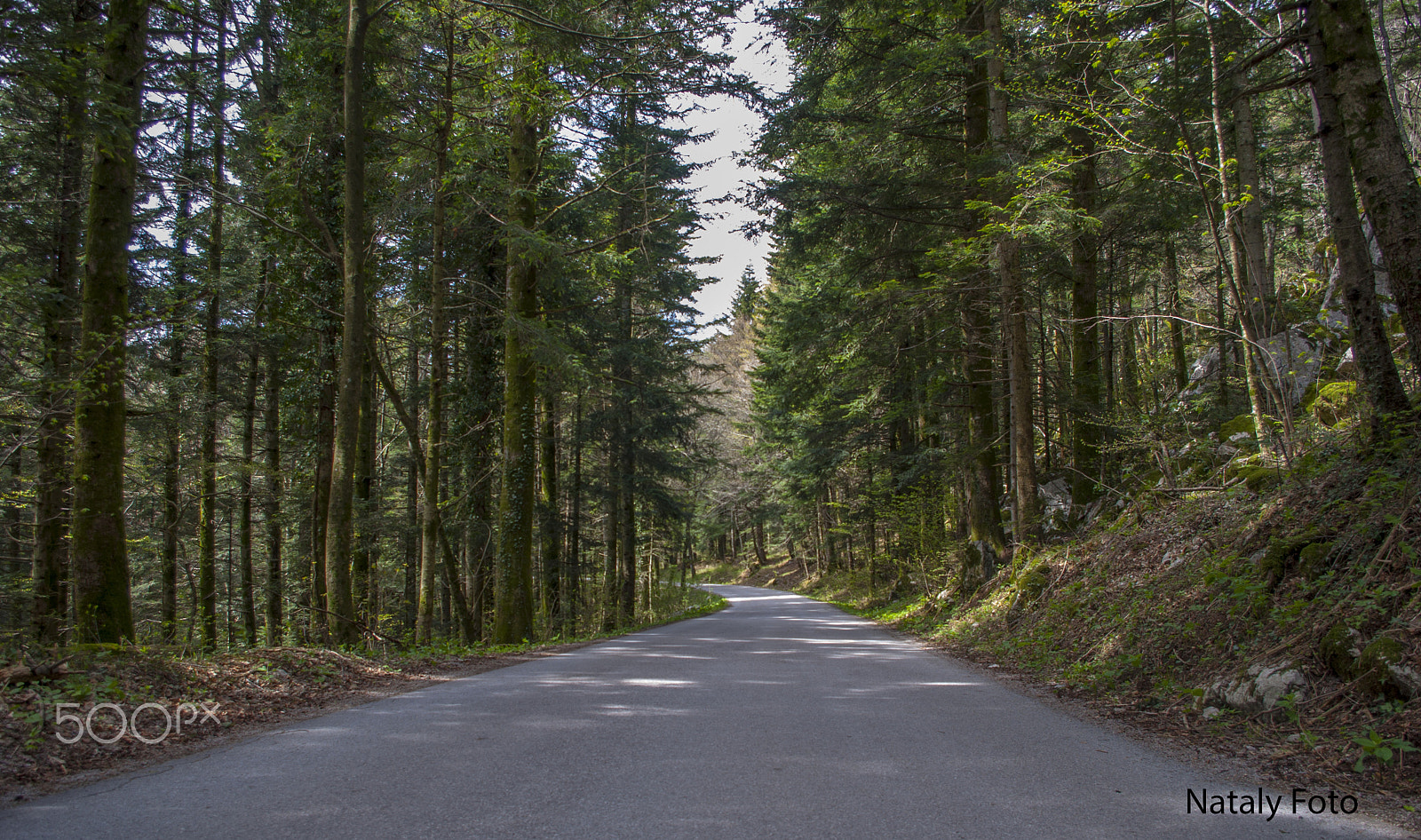 Pentax K-m (K2000) sample photo. Road to forest photography