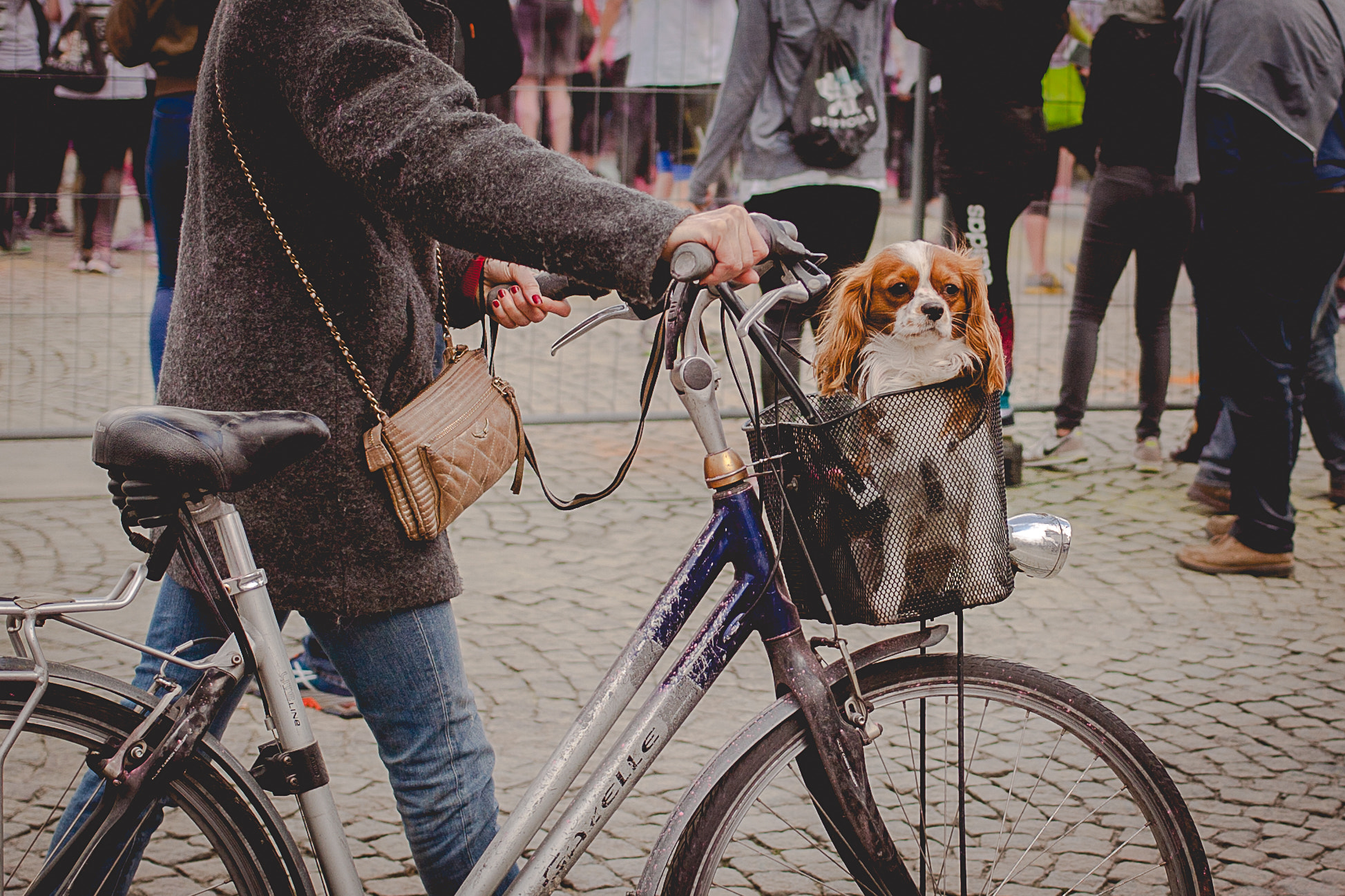 Canon EOS 5D + Canon EF 40mm F2.8 STM sample photo. In the (bike) pocket photography