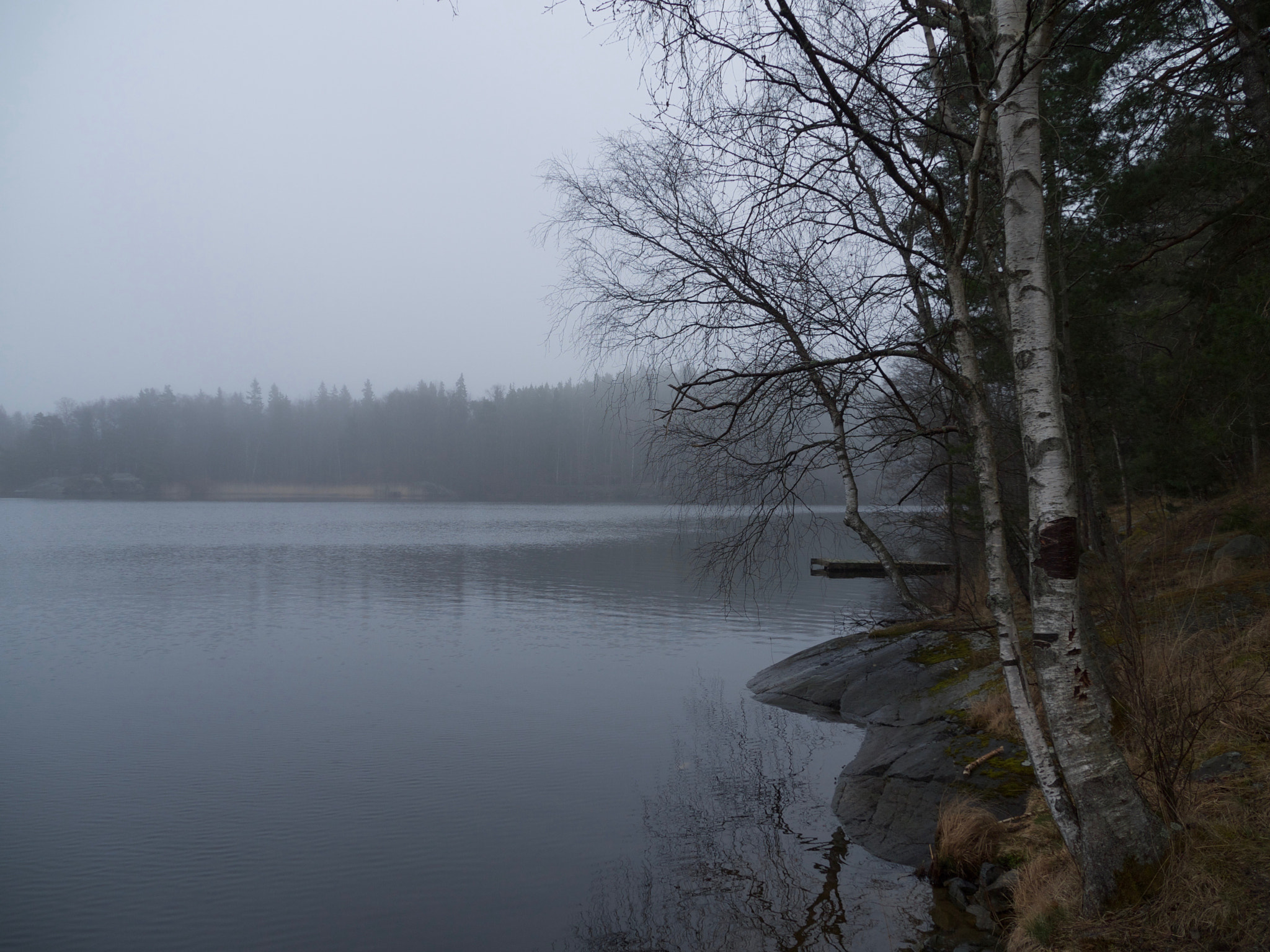 Panasonic Lumix DMC-GF2 sample photo. Foggy lake photography