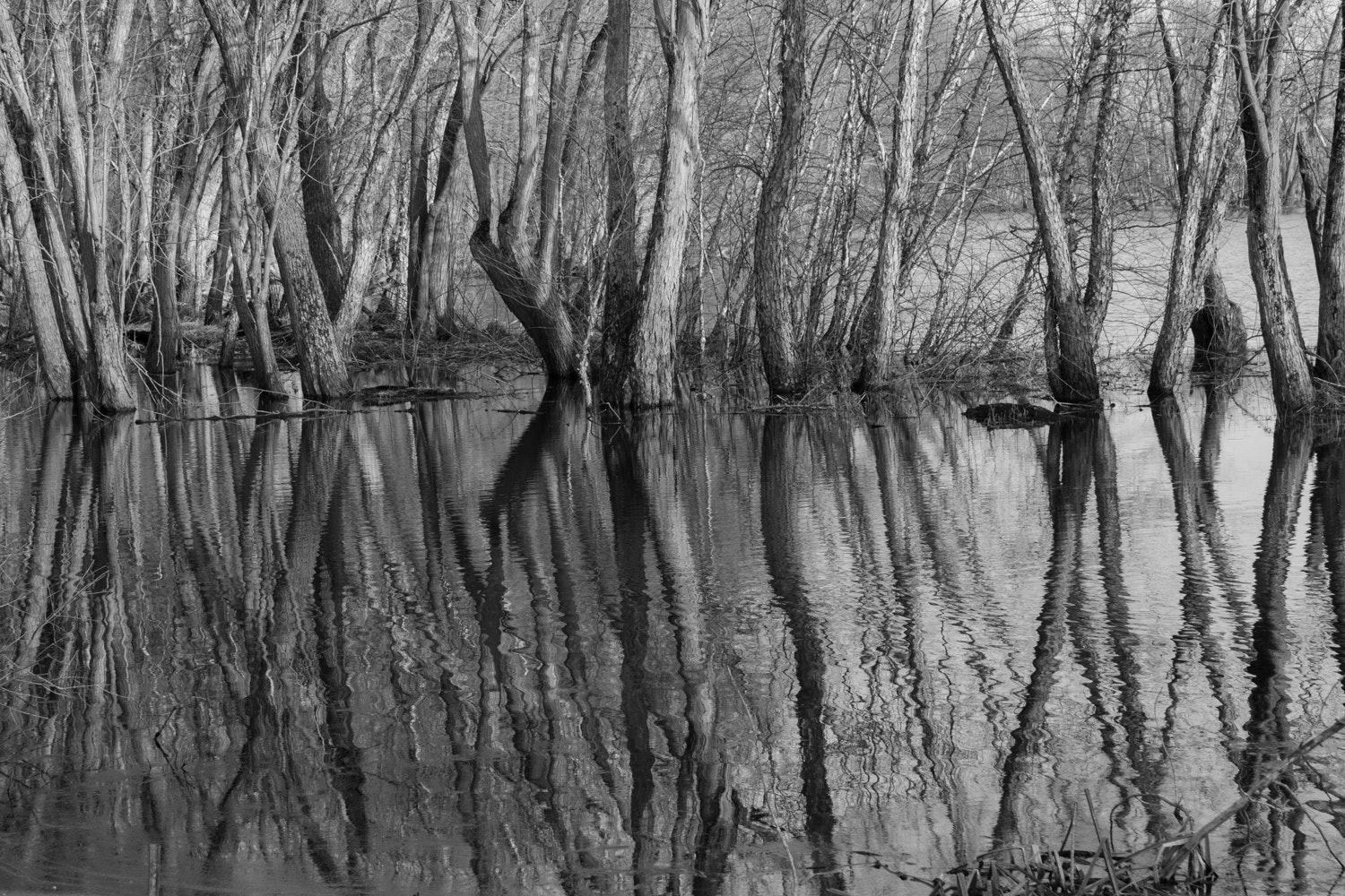 Canon EF 28-135mm F3.5-5.6 IS USM sample photo. B&w landscape photography