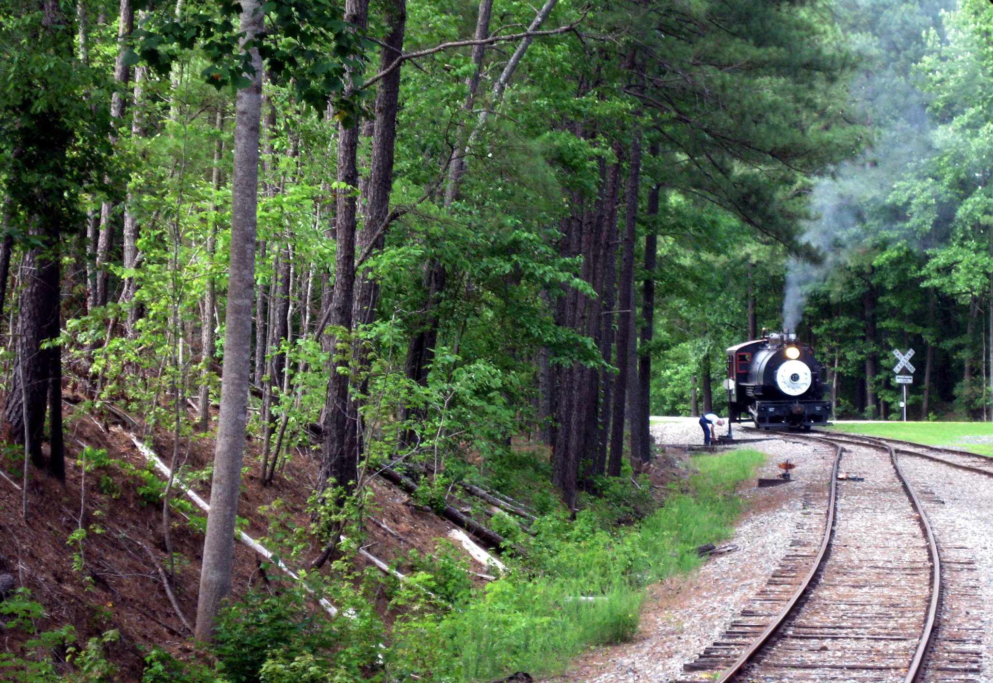 Canon PowerShot A1000 IS sample photo. New hope valley railway steam locomotive photography