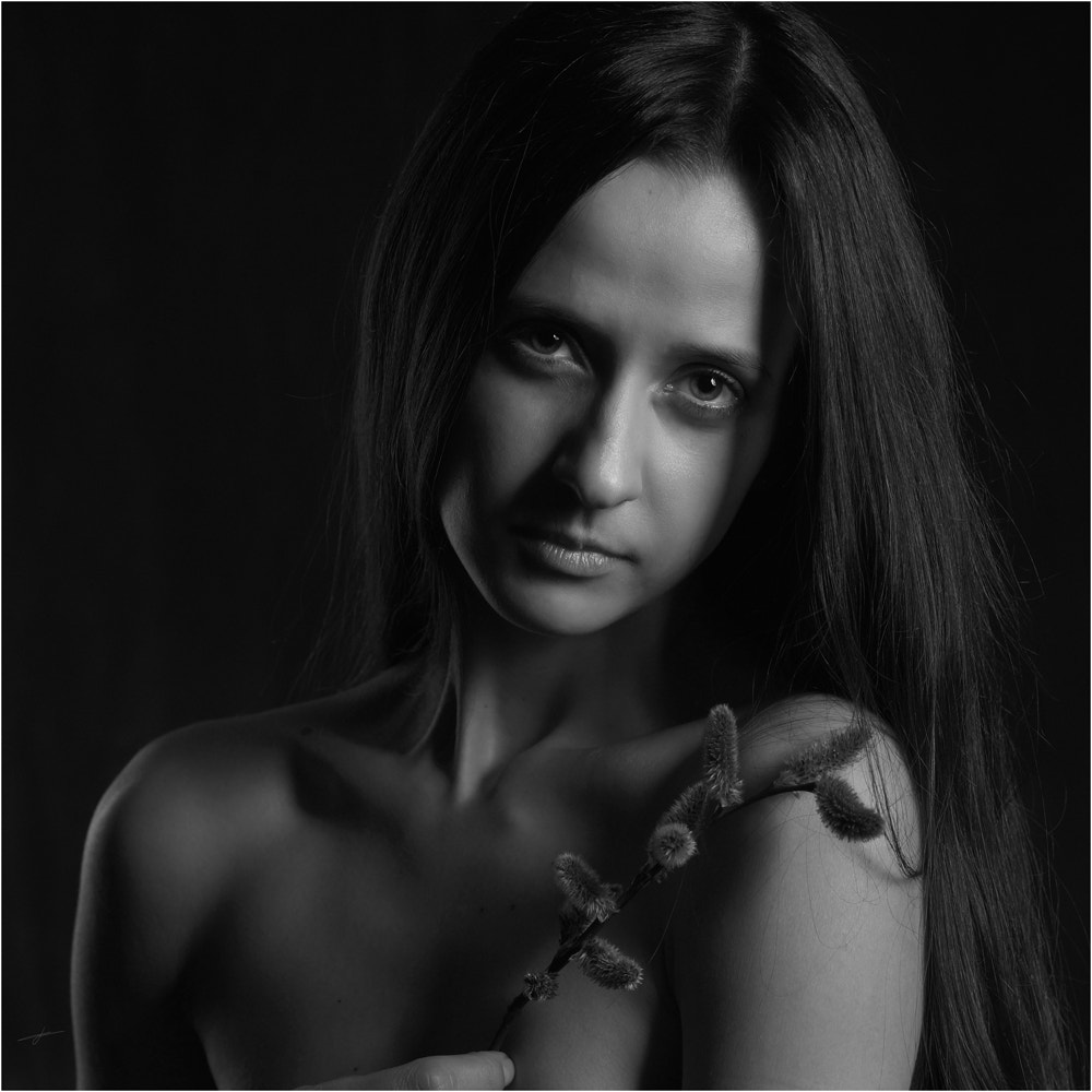 Sony Planar T* 85mm F1.4 ZA sample photo. Портрет с вербой в тёмных тонах photography
