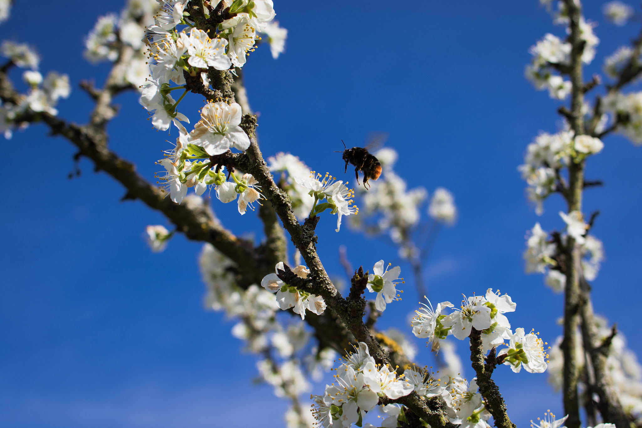 Canon EF 28mm F2.8 IS USM sample photo. . photography