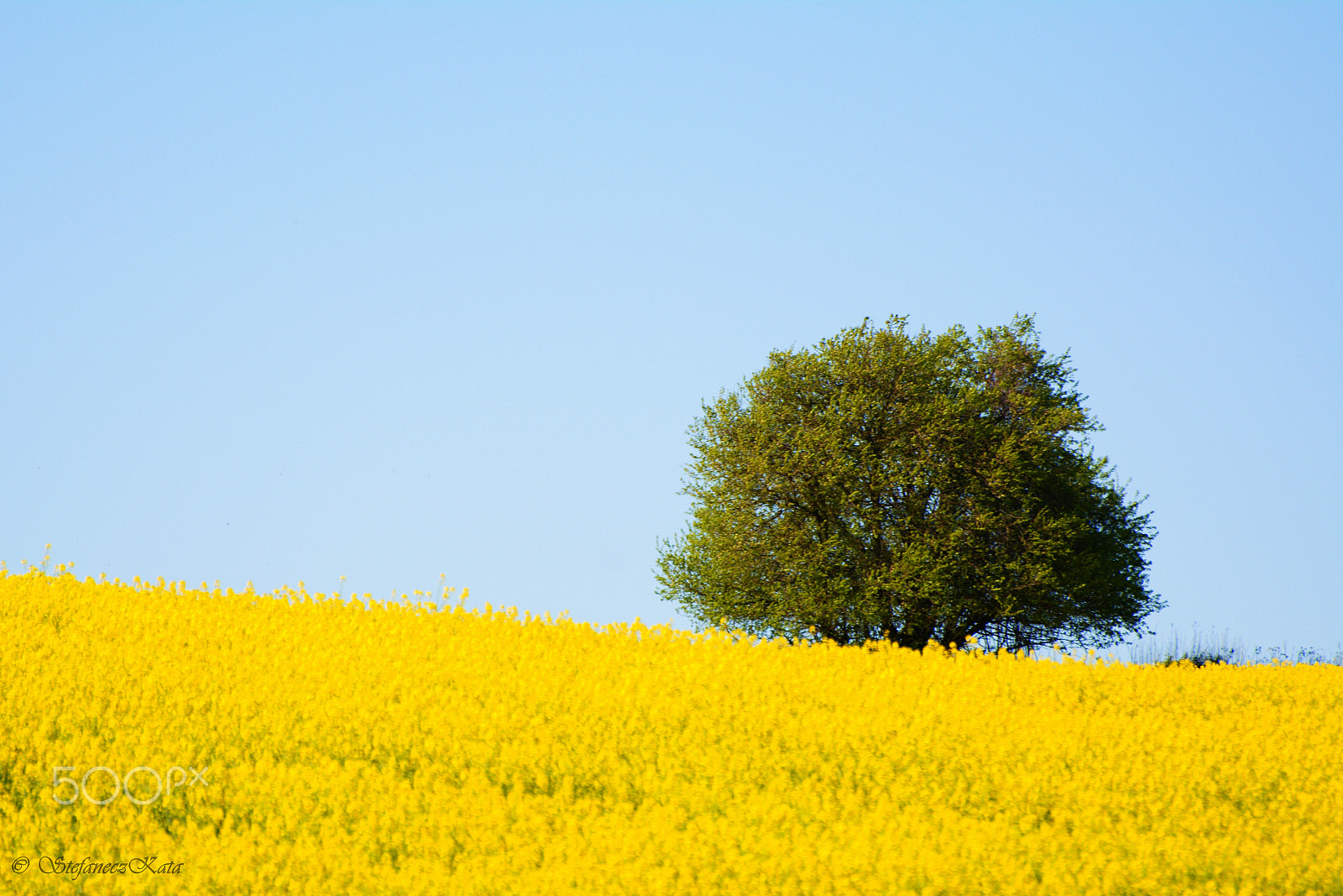 70.00 - 300.00 mm f/4.5 - 5.6 sample photo. Repceföld photography