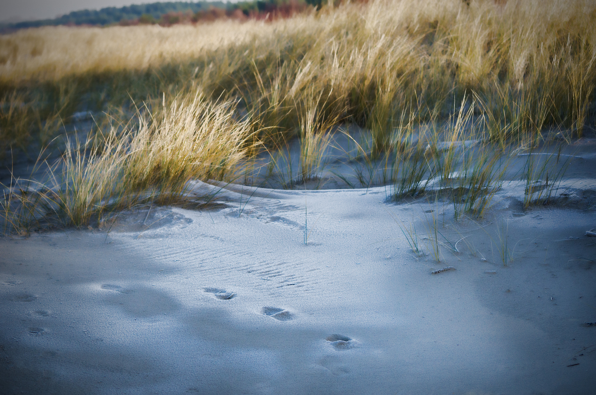 Nikon D7000 + AF Nikkor 70-210mm f/4-5.6 sample photo. Steps photography