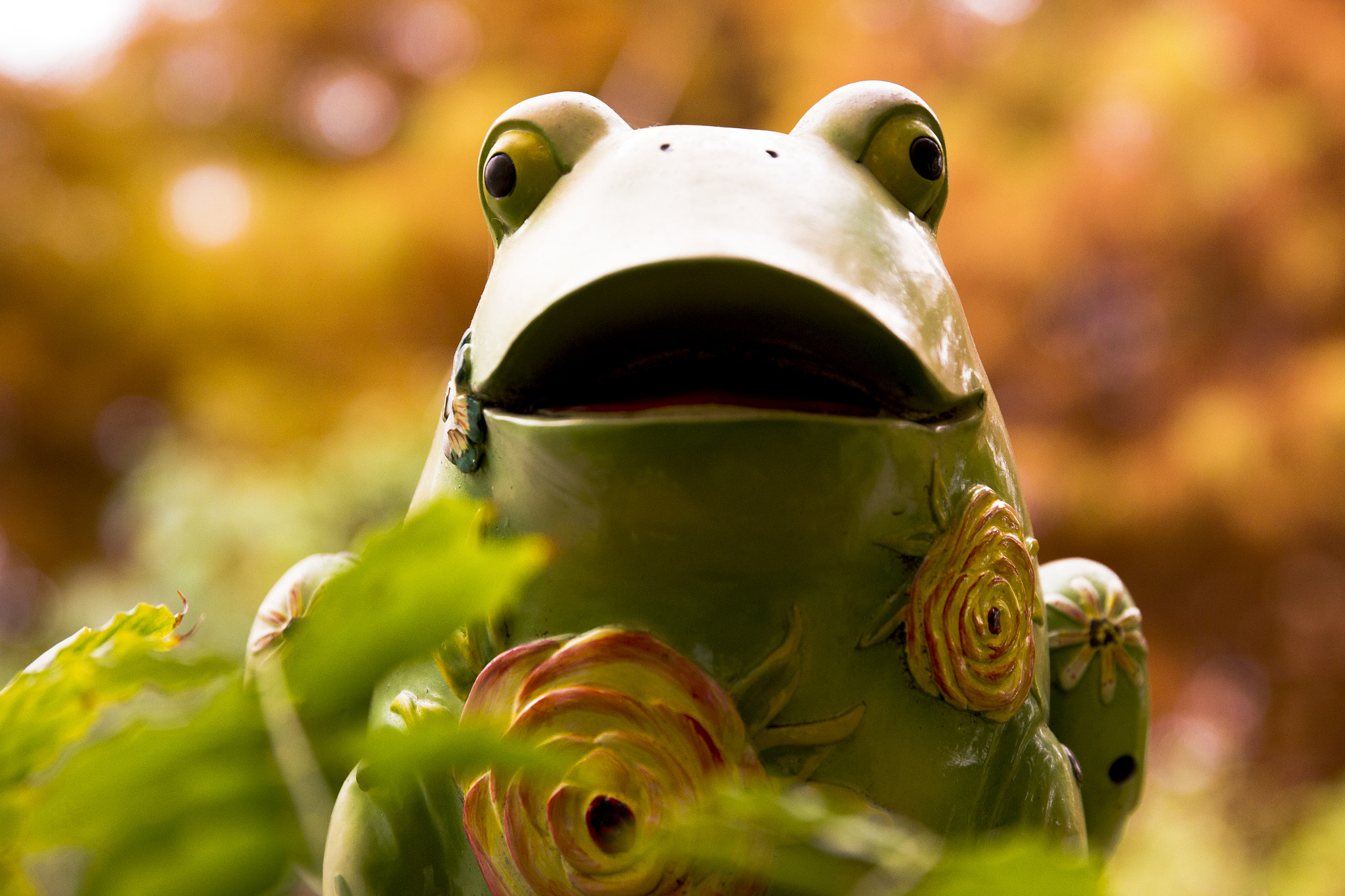 Canon EF 24-70mm F2.8L II USM sample photo. Frog photography