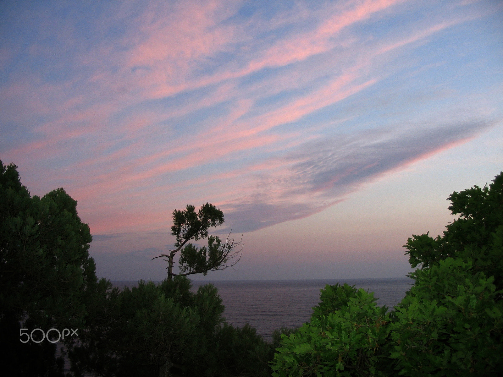 Canon POWERSHOT A85 sample photo. Pink clouds over the sea photography