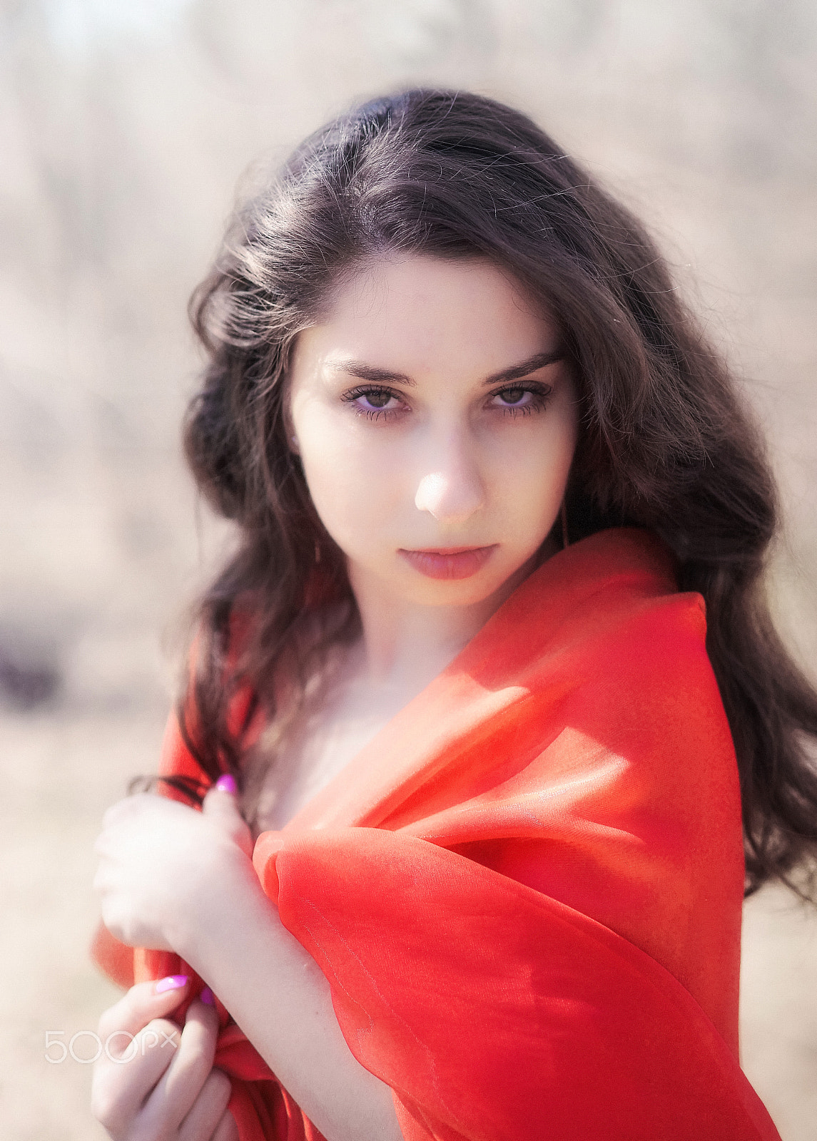 Sony Planar T* 85mm F1.4 ZA sample photo. *** photography