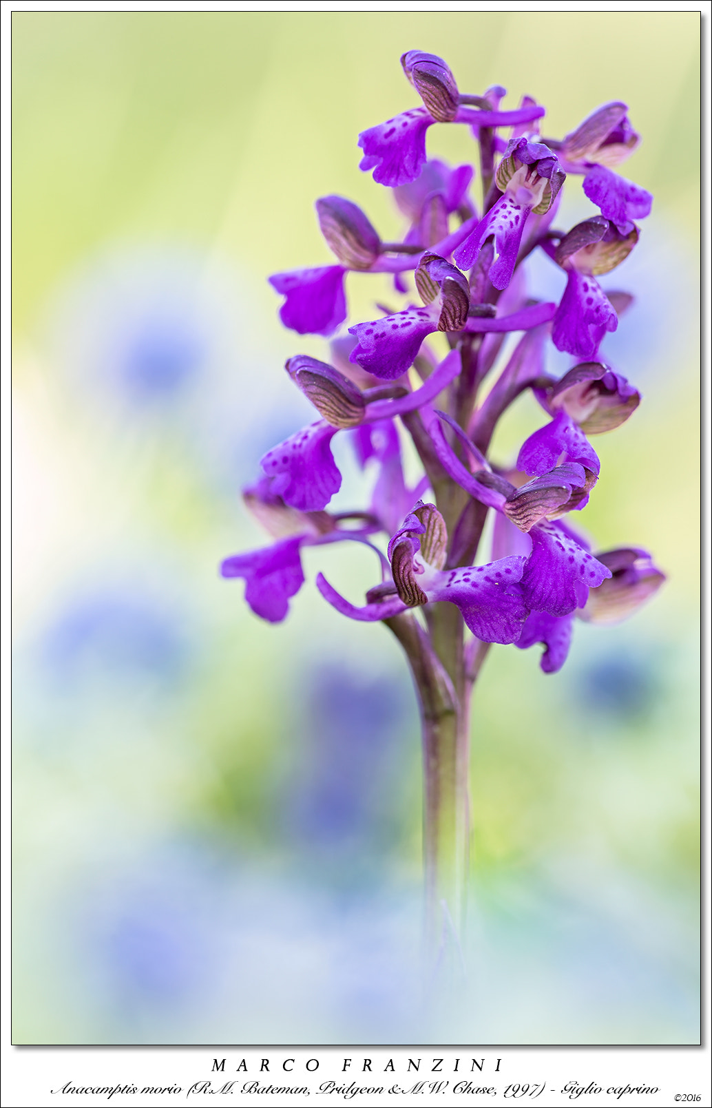 Canon EF 180mm F3.5L Macro USM sample photo. Return to the past....... photography