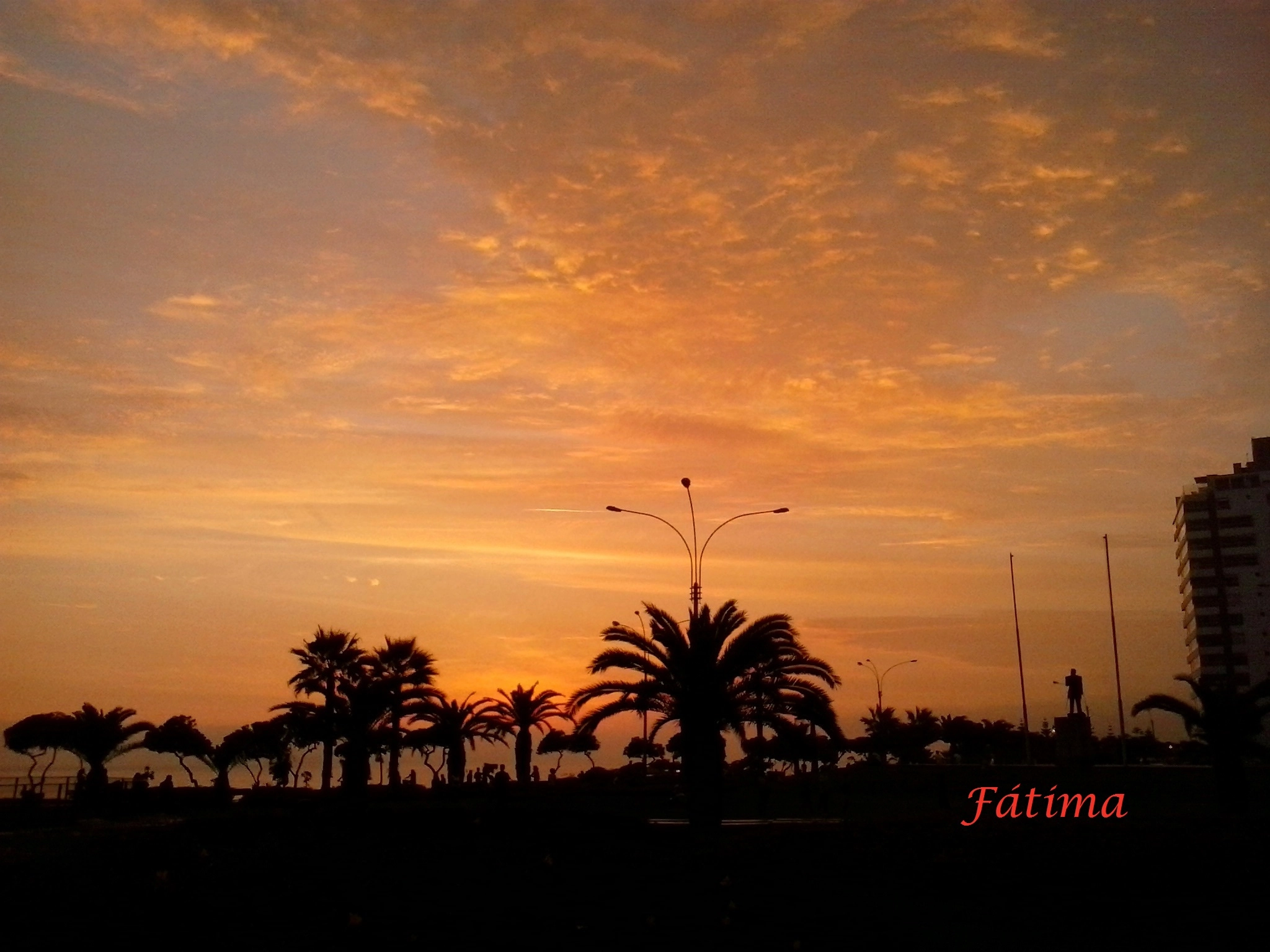 Samsung Galaxy Music Duos sample photo. Atardecer en el parque grau photography