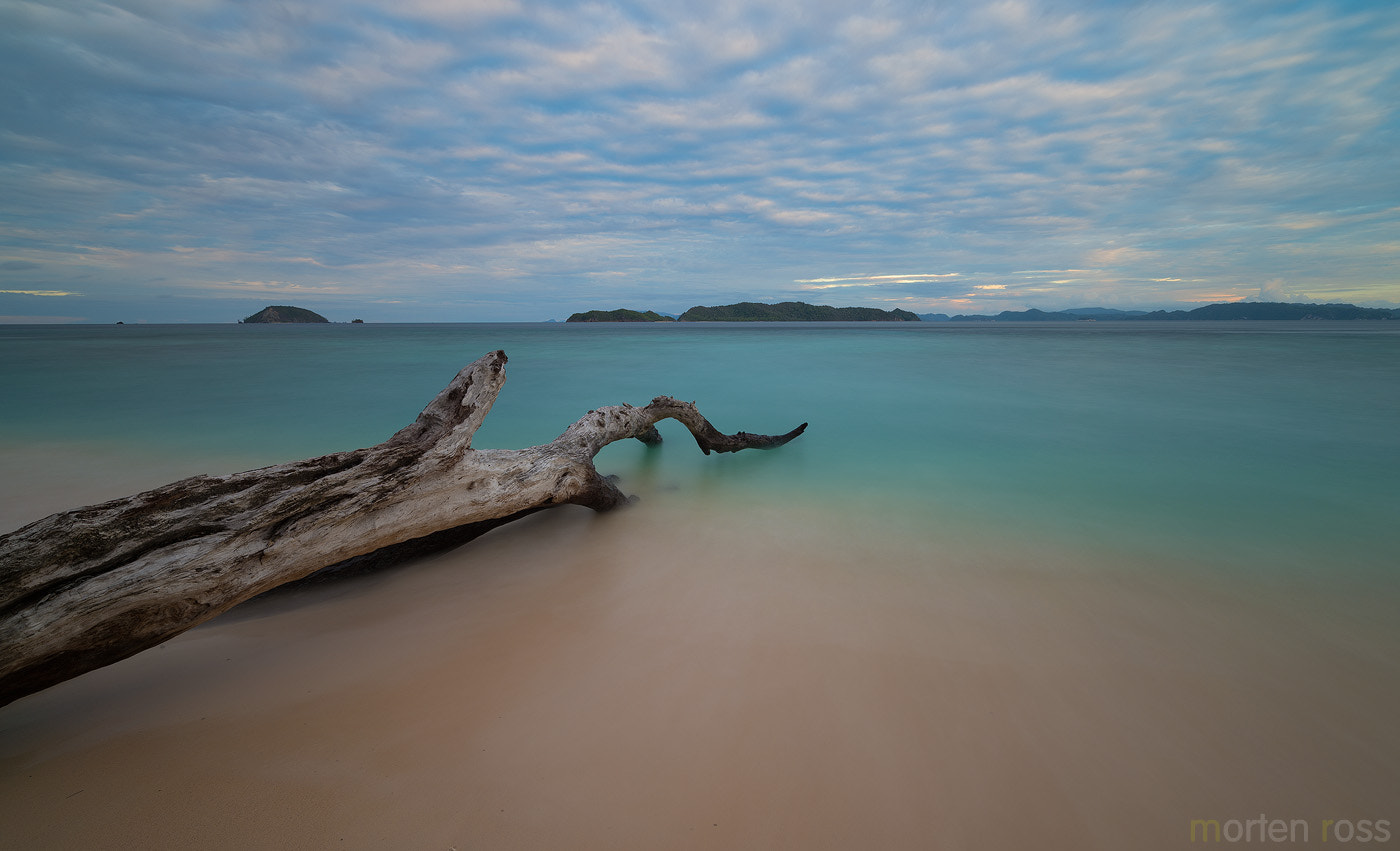 Nikon D4S sample photo. Raja ampat evening light photography