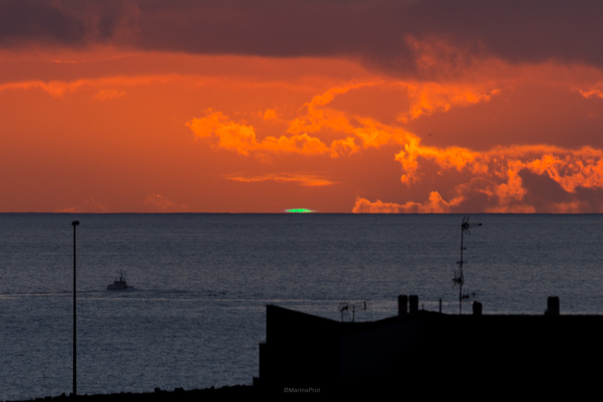 Sigma 150-600mm F5-6.3 DG OS HSM | S sample photo. Green flash (again) photography