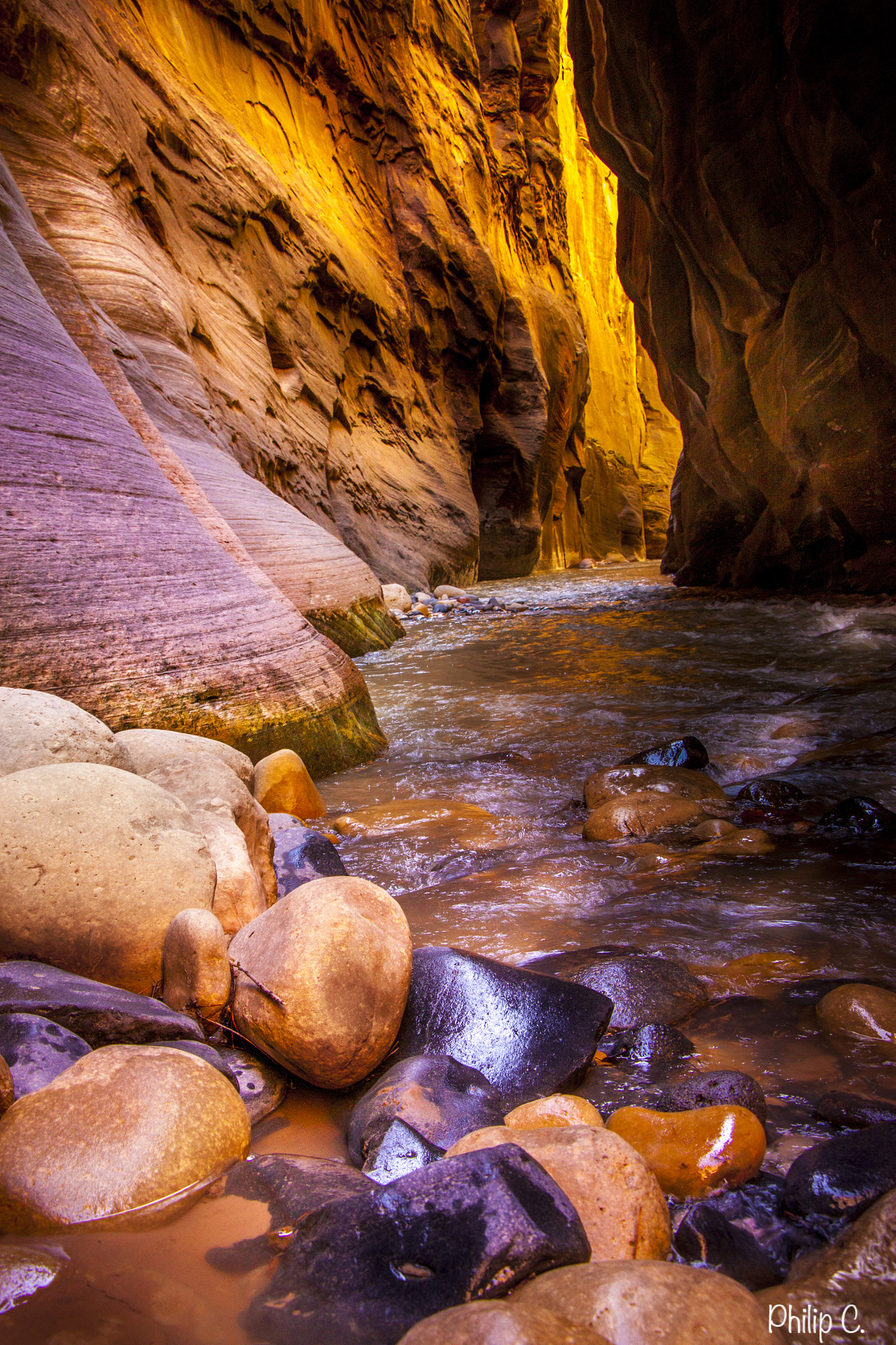 Canon EF-S 18-135mm F3.5-5.6 IS STM sample photo. Golden canyon photography