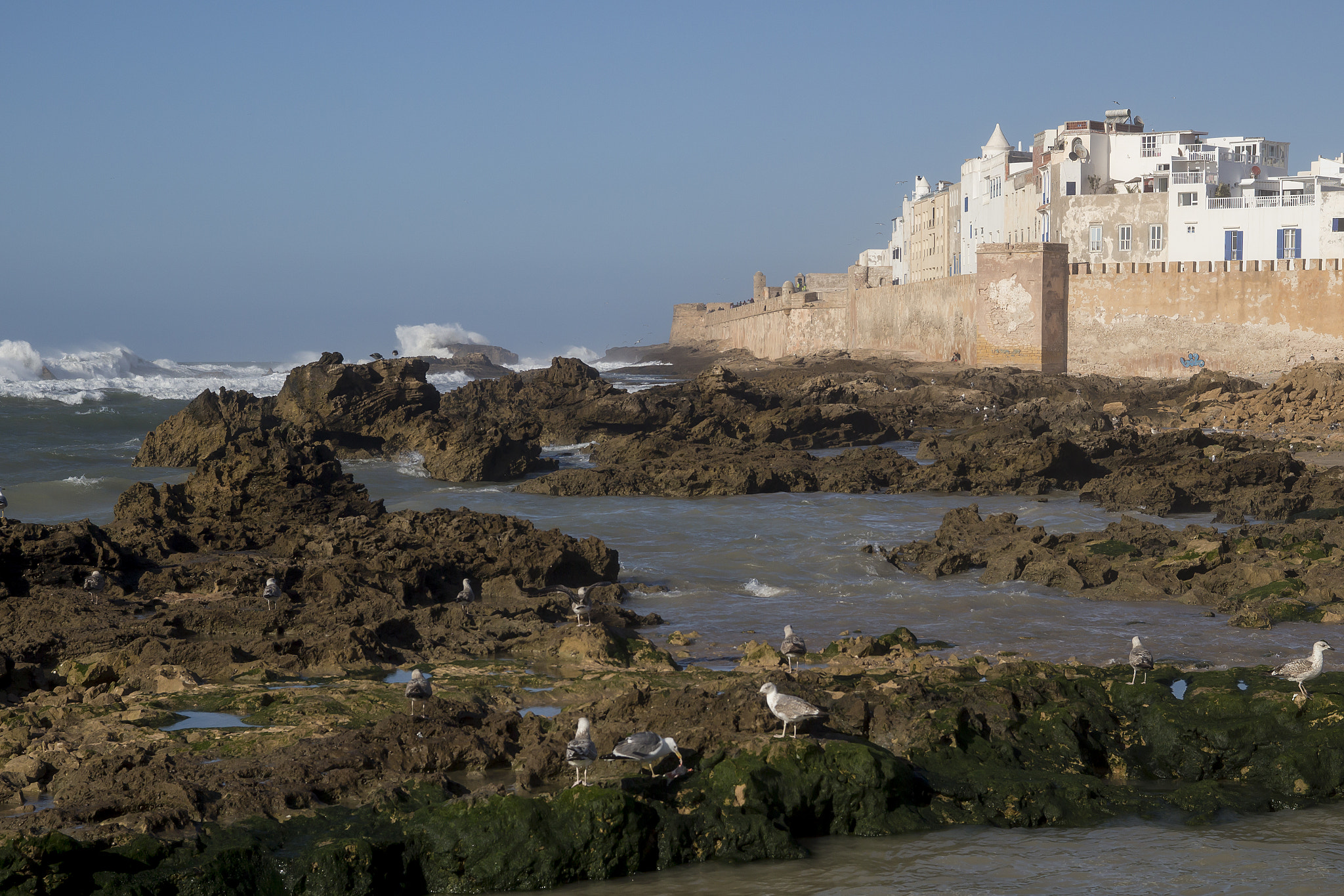 Canon EOS 100D (EOS Rebel SL1 / EOS Kiss X7) + Sigma 18-50mm f/2.8 Macro sample photo. Essaouira photography