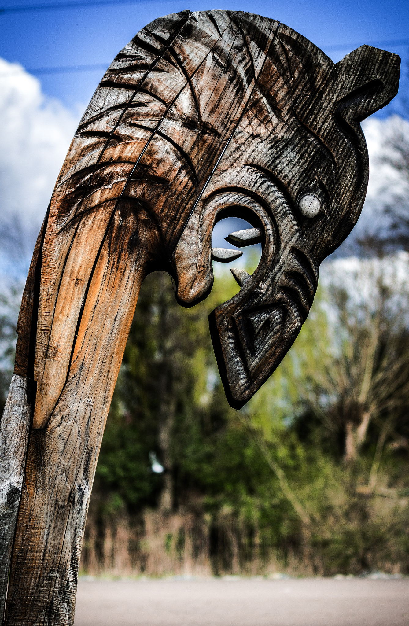 Canon EF-S 55-250mm F4-5.6 IS sample photo. Savage photography