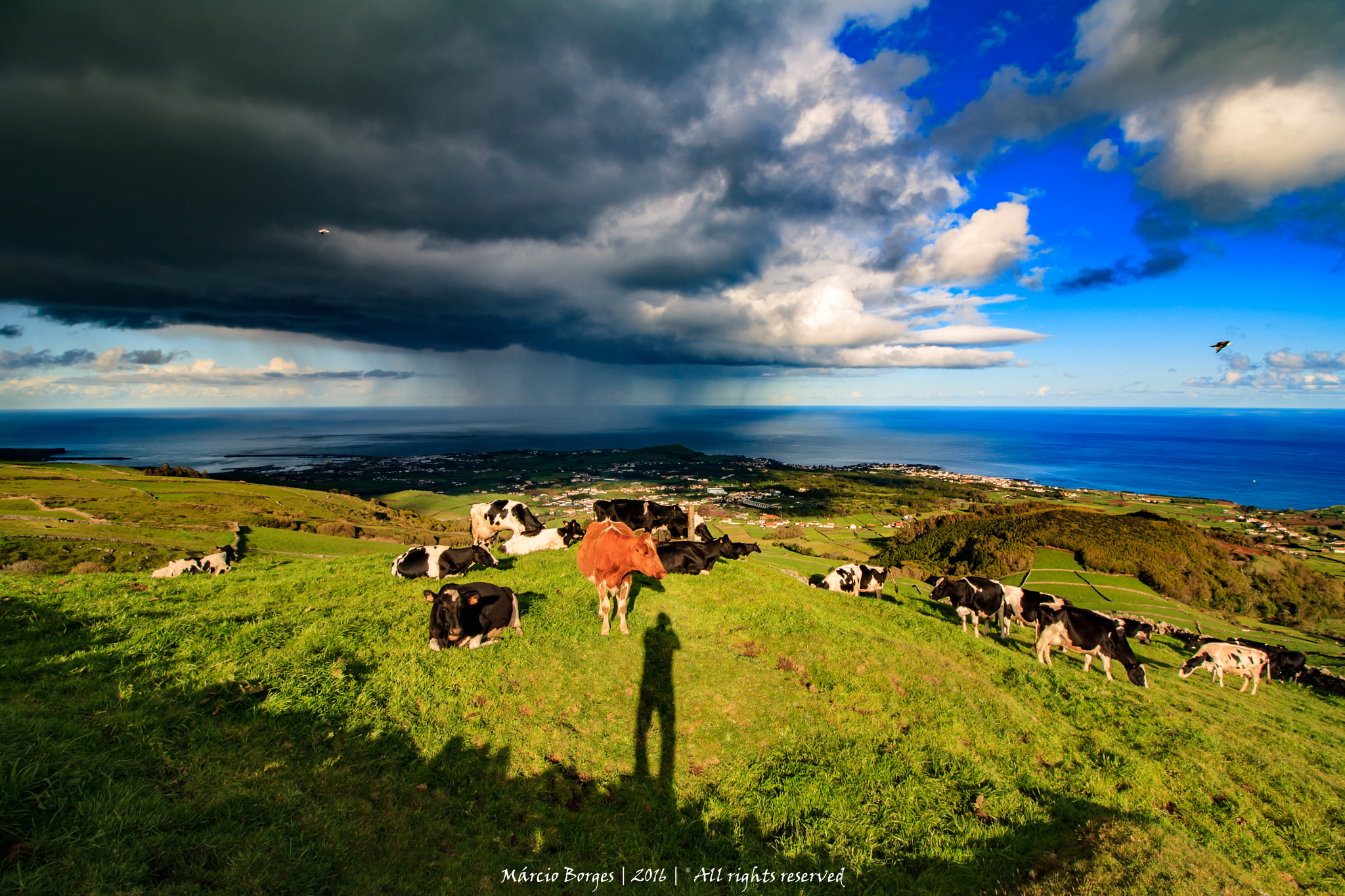 Canon EF-S 10-18mm F4.5–5.6 IS STM sample photo. Pancadaria!! photography