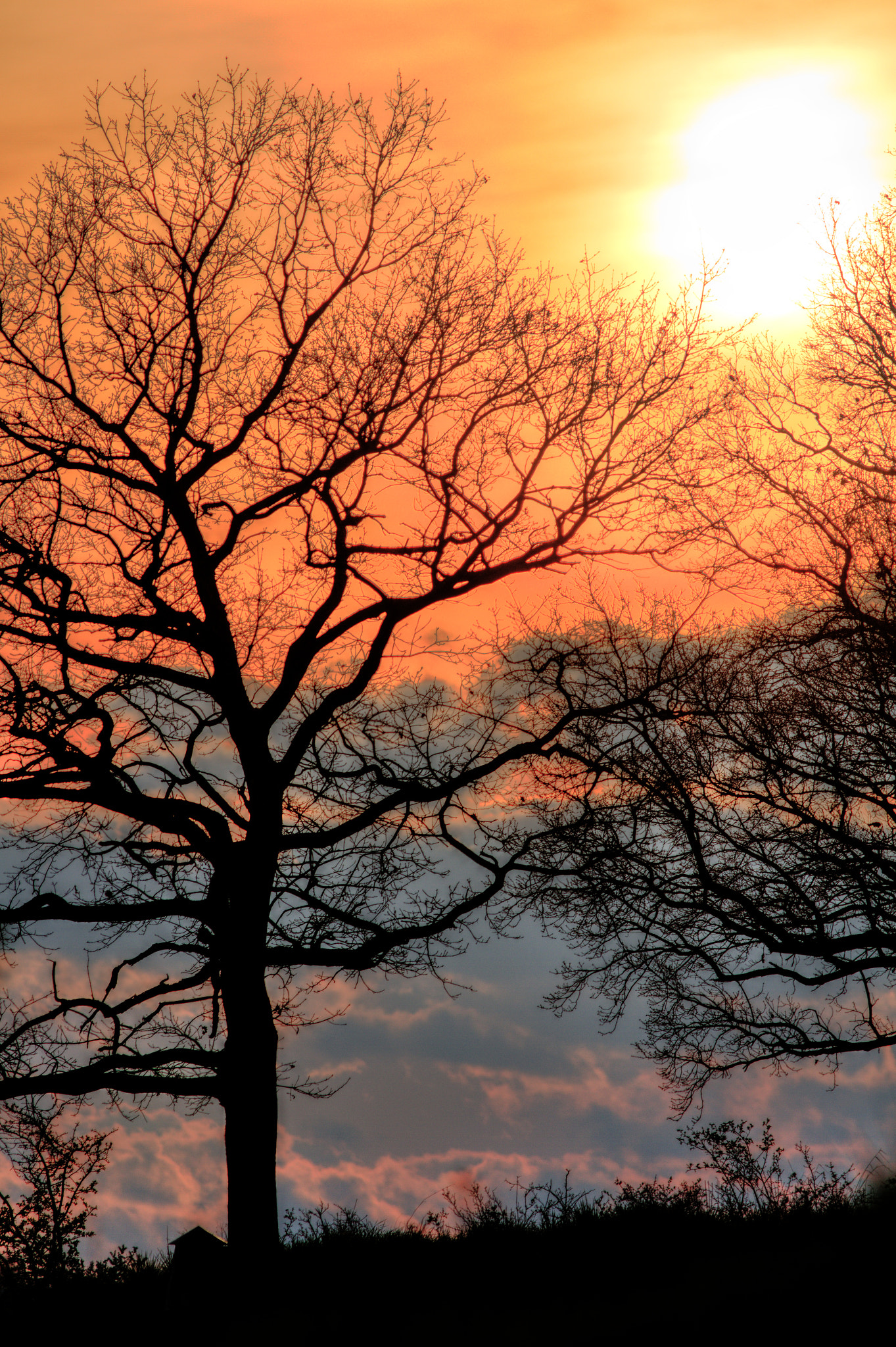 Canon EF 300mm f/4L sample photo. Tonemapping photography